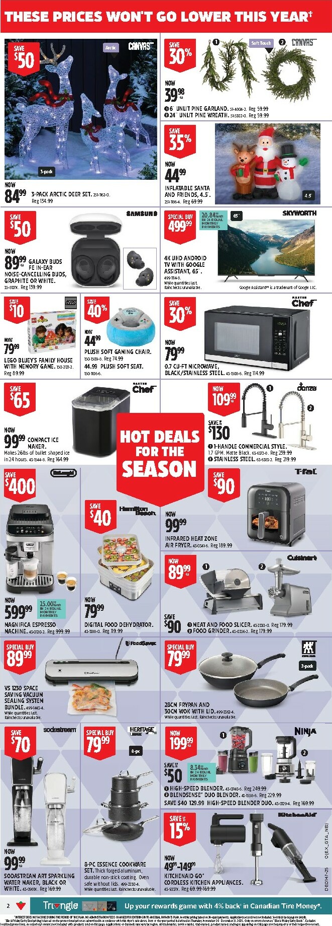 canadian-tire - Canadian Tire - Black Friday Flyer Valid From 11-13 to 11-19 - page: 2