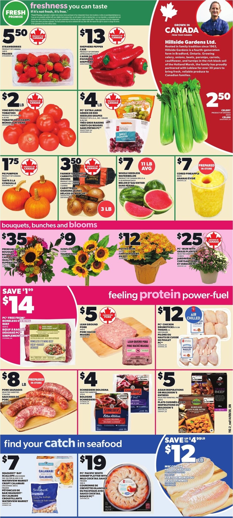 independent-grocery - New Independent Grocer Flyer for This Week – 2026-09-17 to 2026-09-23 - page: 3