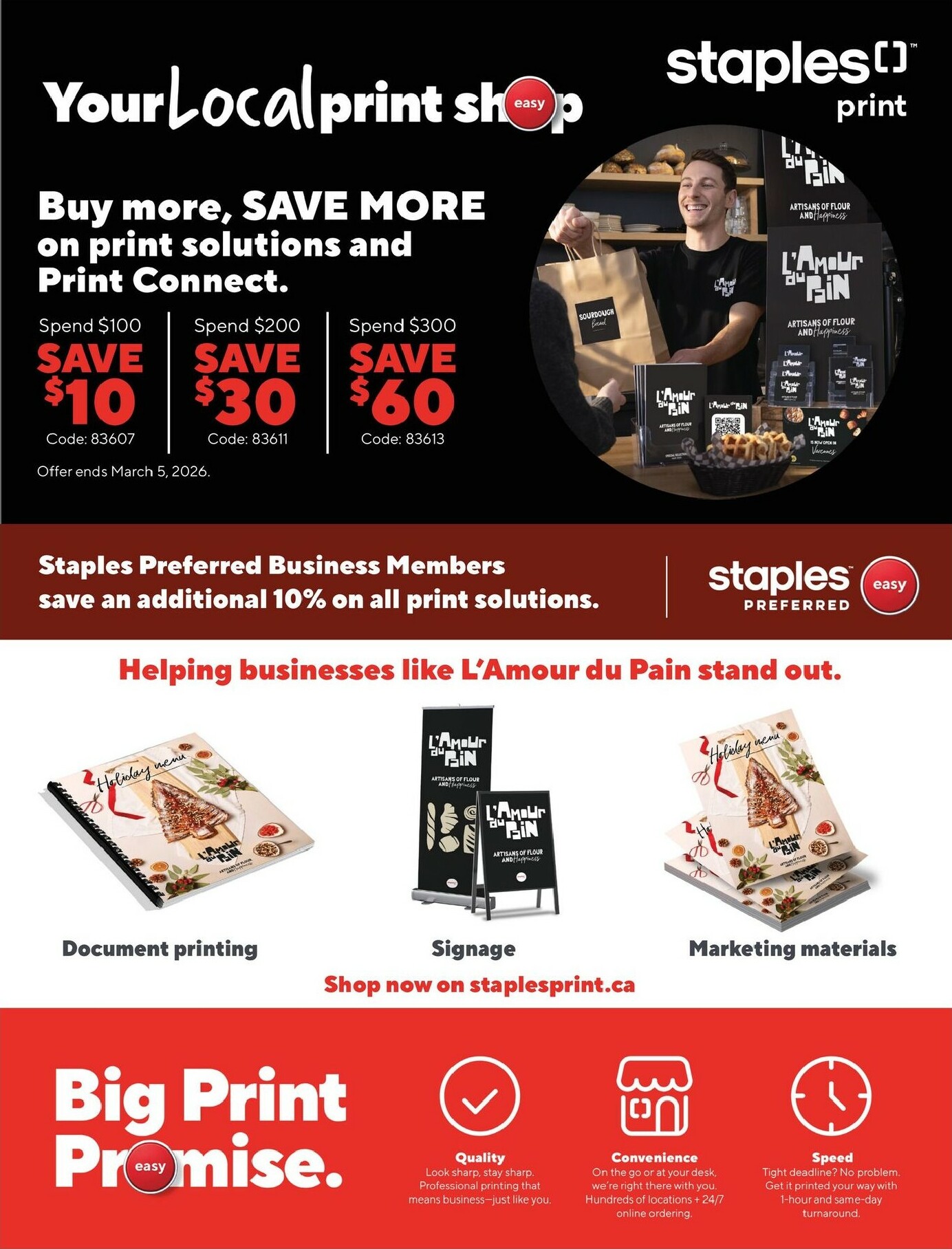 staples - Staples - Business Flyer Valid From 2026-02-06 to 2026-02-19 - page: 17
