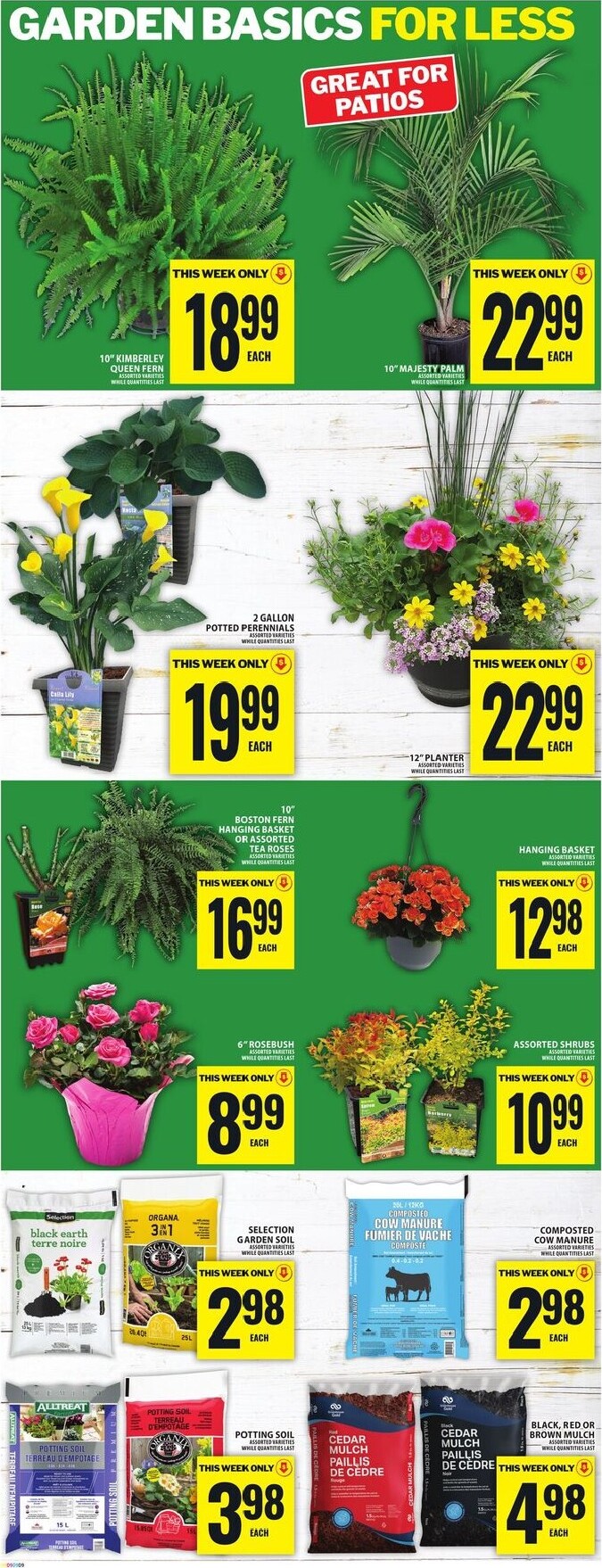 food-basics - New Food Basics Flyer for This Week – 2026-05-28 to 2026-06-03 - page: 14
