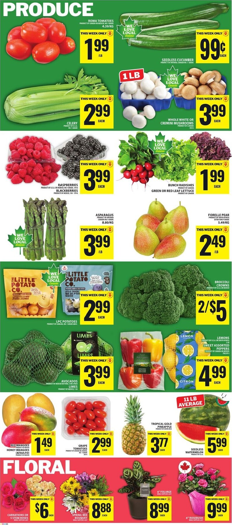 food-basics - New Food Basics Flyer for This Week – 2026-06-18 to 2026-06-24 - page: 6