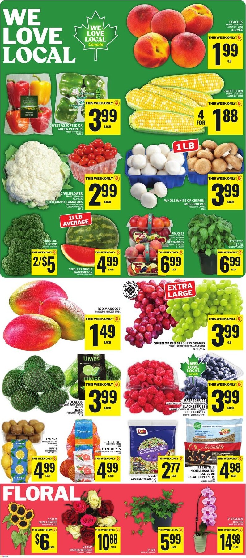food-basics - New Food Basics Flyer for This Week – 2026-08-13 to 2026-08-20 - page: 3