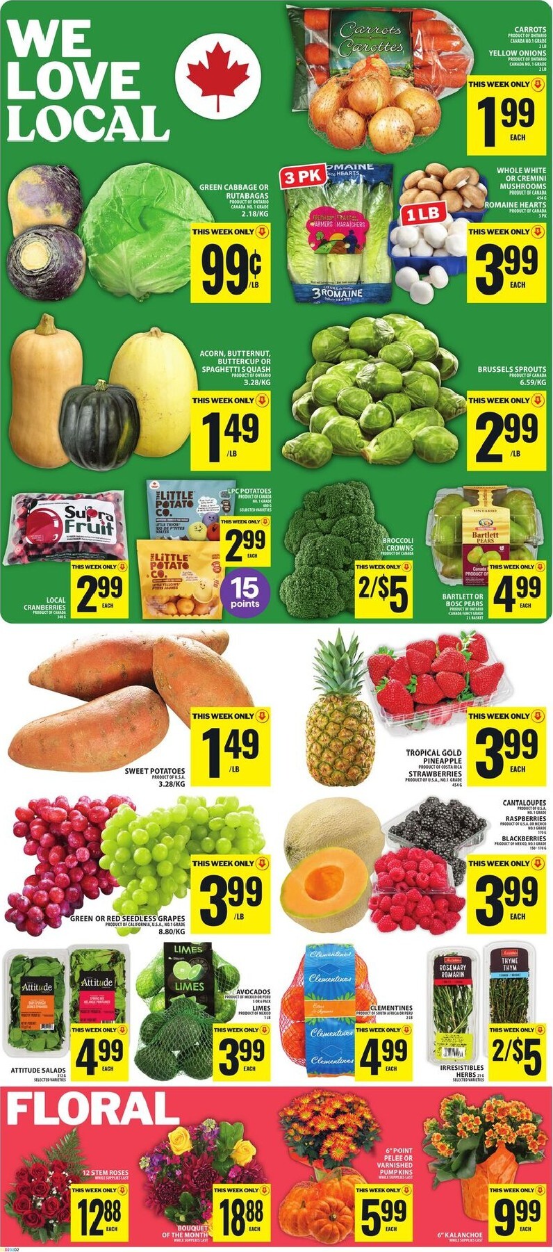 food-basics - New Food Basics Flyer for This Week – 2026-10-08 to 2026-10-14 - page: 3