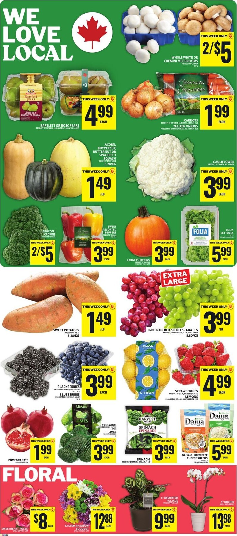 food-basics - New Food Basics Flyer for This Week – 2026-10-15 to 2026-10-21 - page: 3