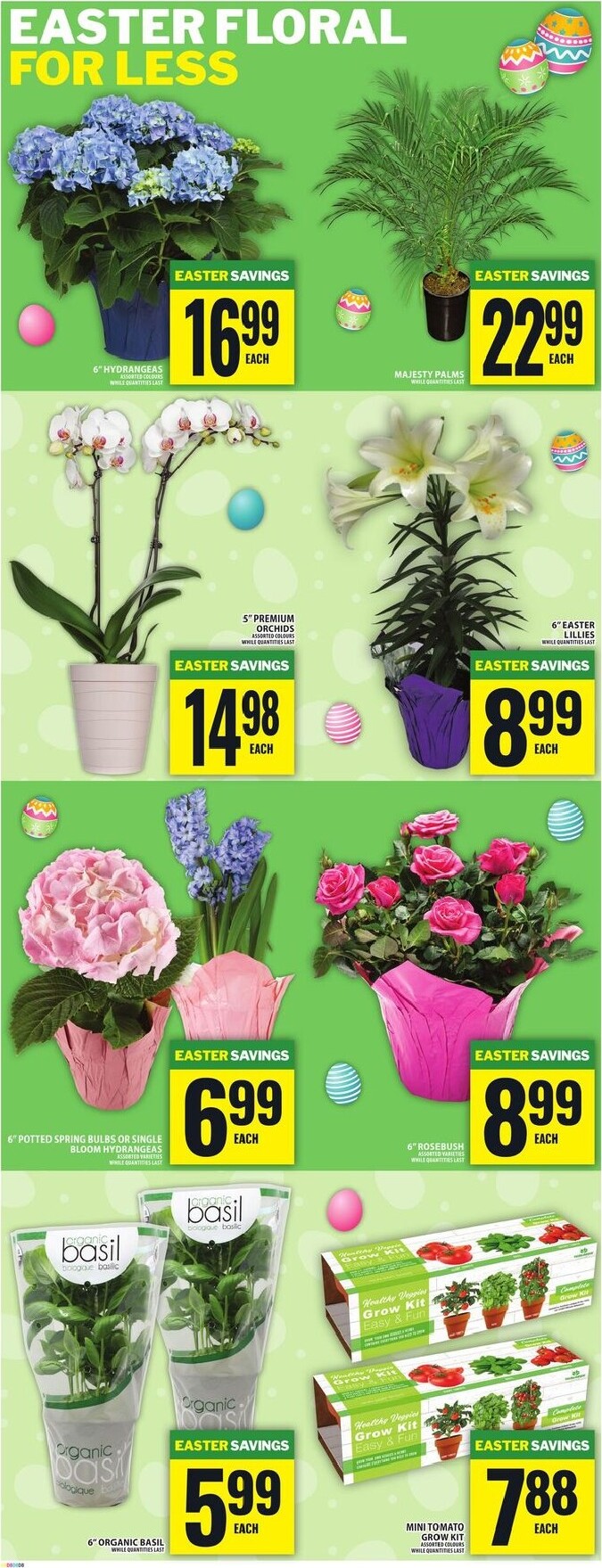 food-basics - Food Basics Flyer Valid From 2026-03-26 to 2026-04-01 - page: 9