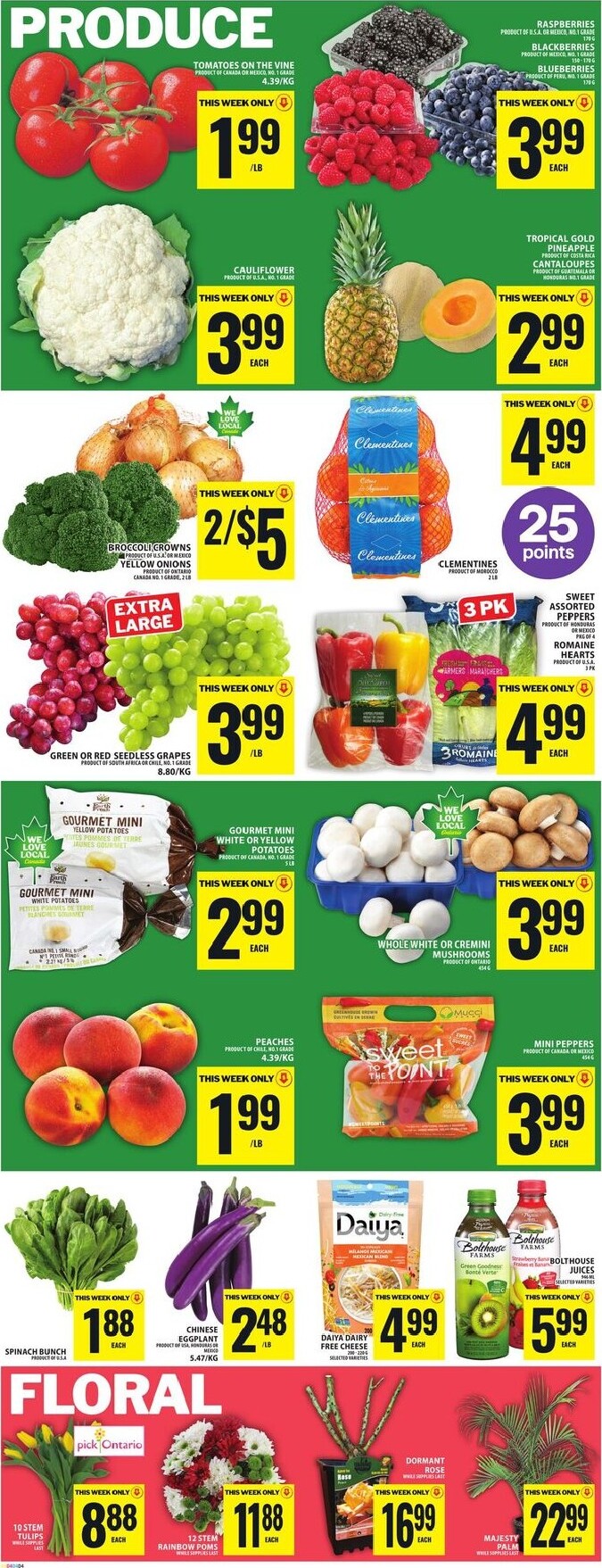food-basics - Upcoming Food Basics Flyer Valid from 2026-04-09 to 2026-04-15 - page: 6