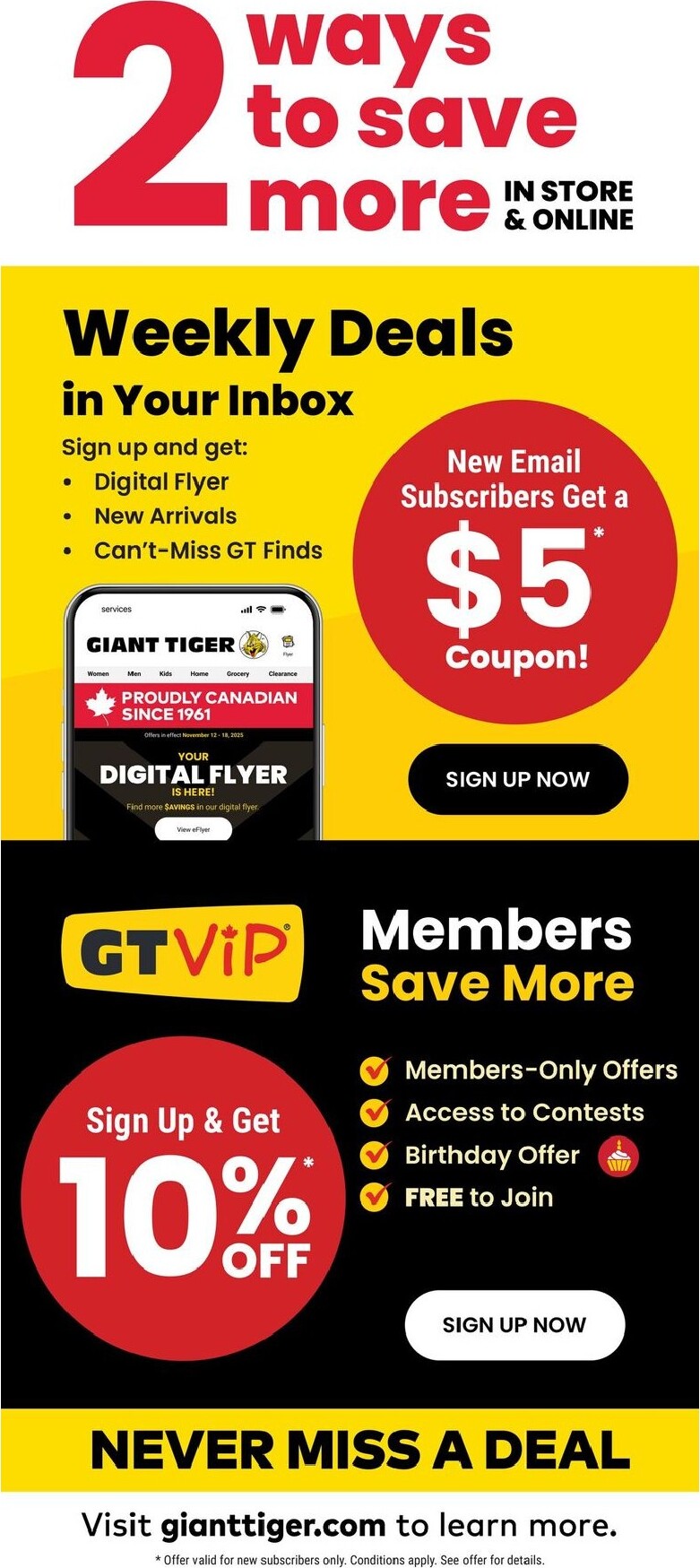 giant-tiger - Giant Tiger Flyer Valid from 2026-05-20 to 2026-05-26 - page: 13