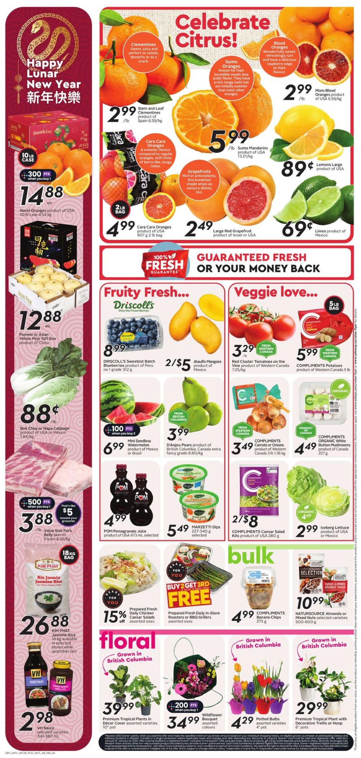 safeway - Safeway flyer valid from 01-16 - 01-22 - page: 6