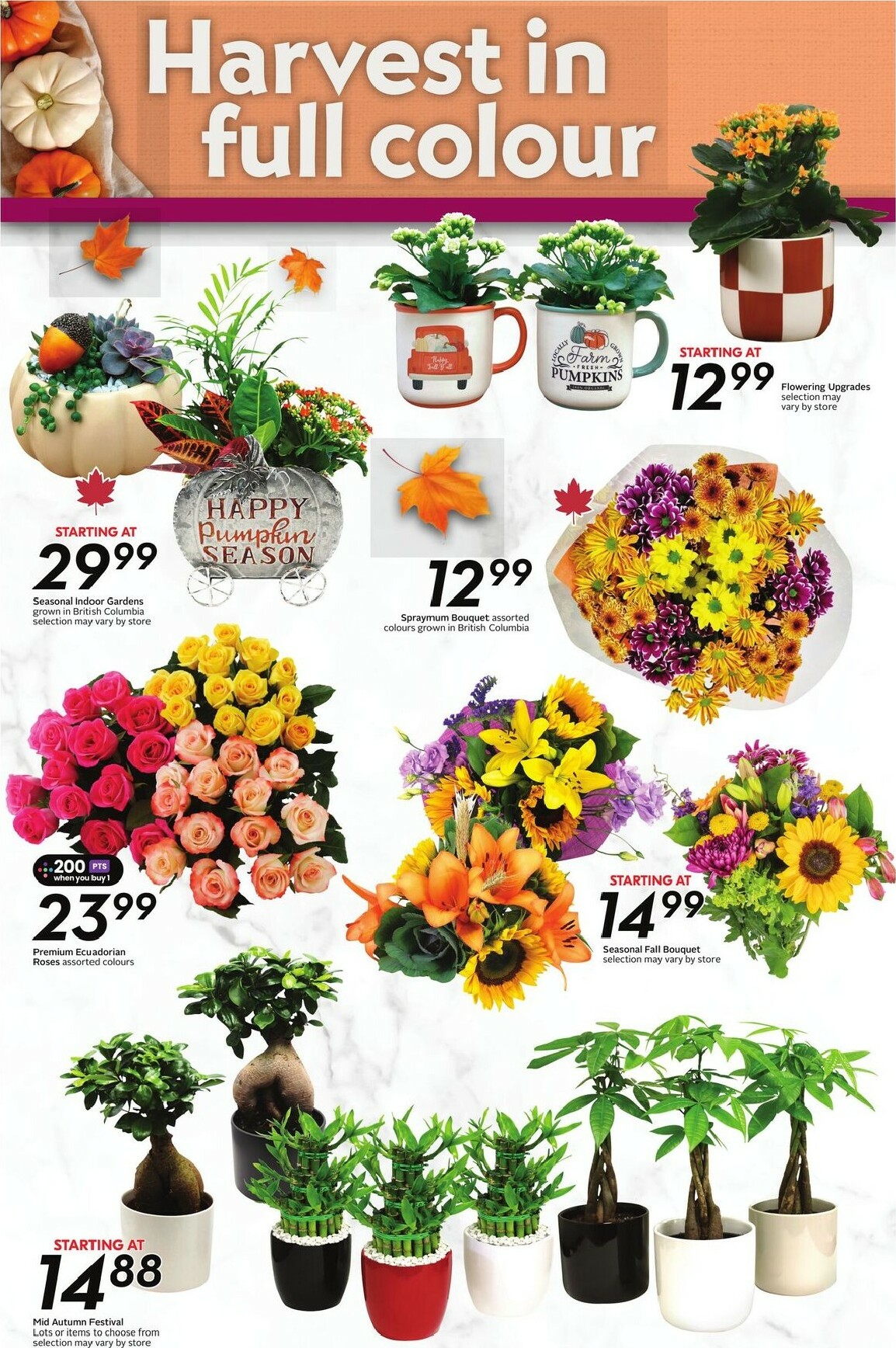 safeway - Safeway flyer valid from 10-02 - 10-08 - page: 22