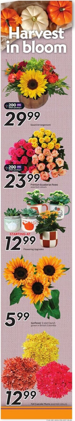 safeway - Safeway flyer valid from 10-09 - 10-15 - page: 3