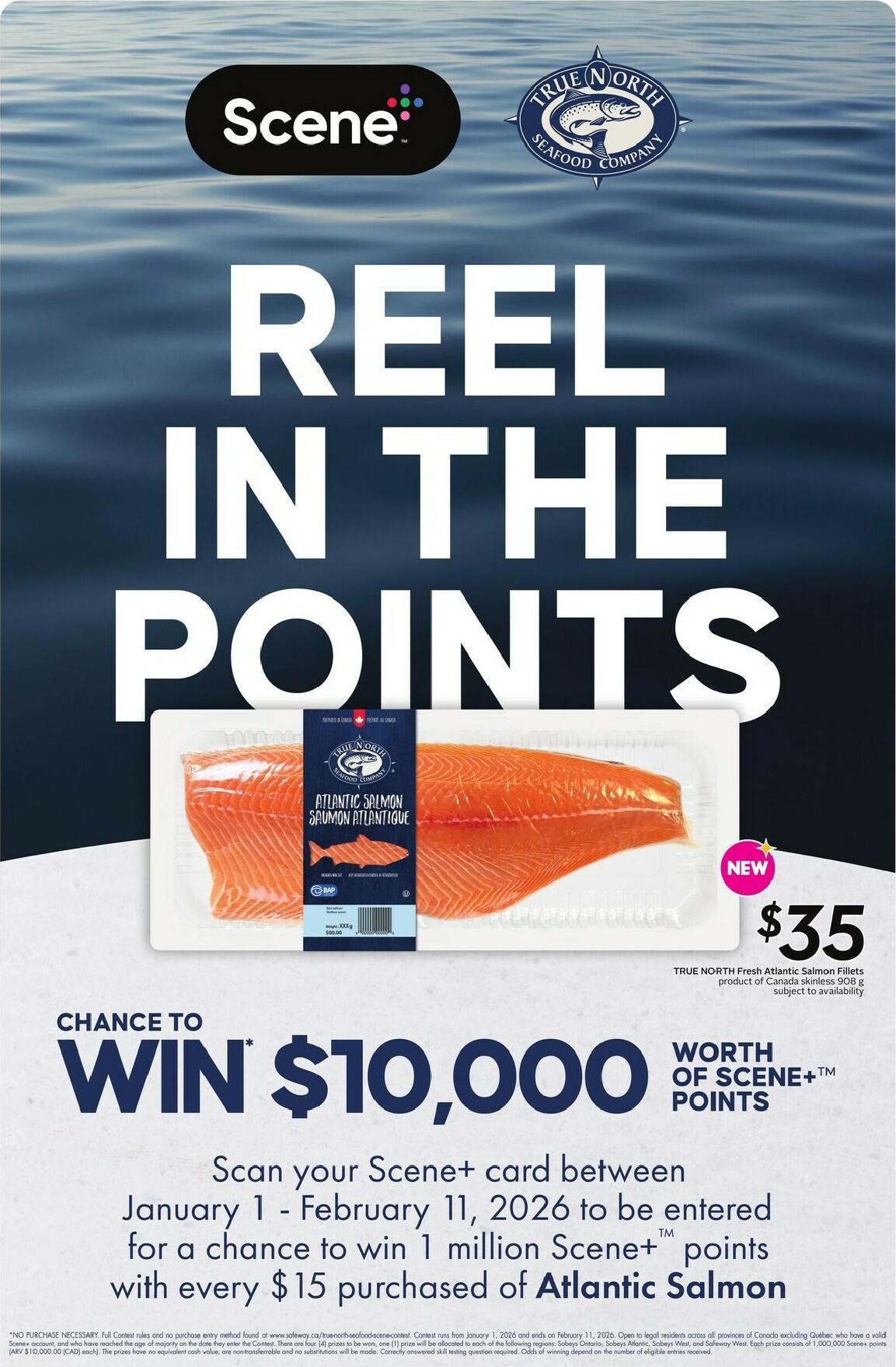 safeway - Safeway Flyer Valid From 01-15 to 01-21 - page: 19