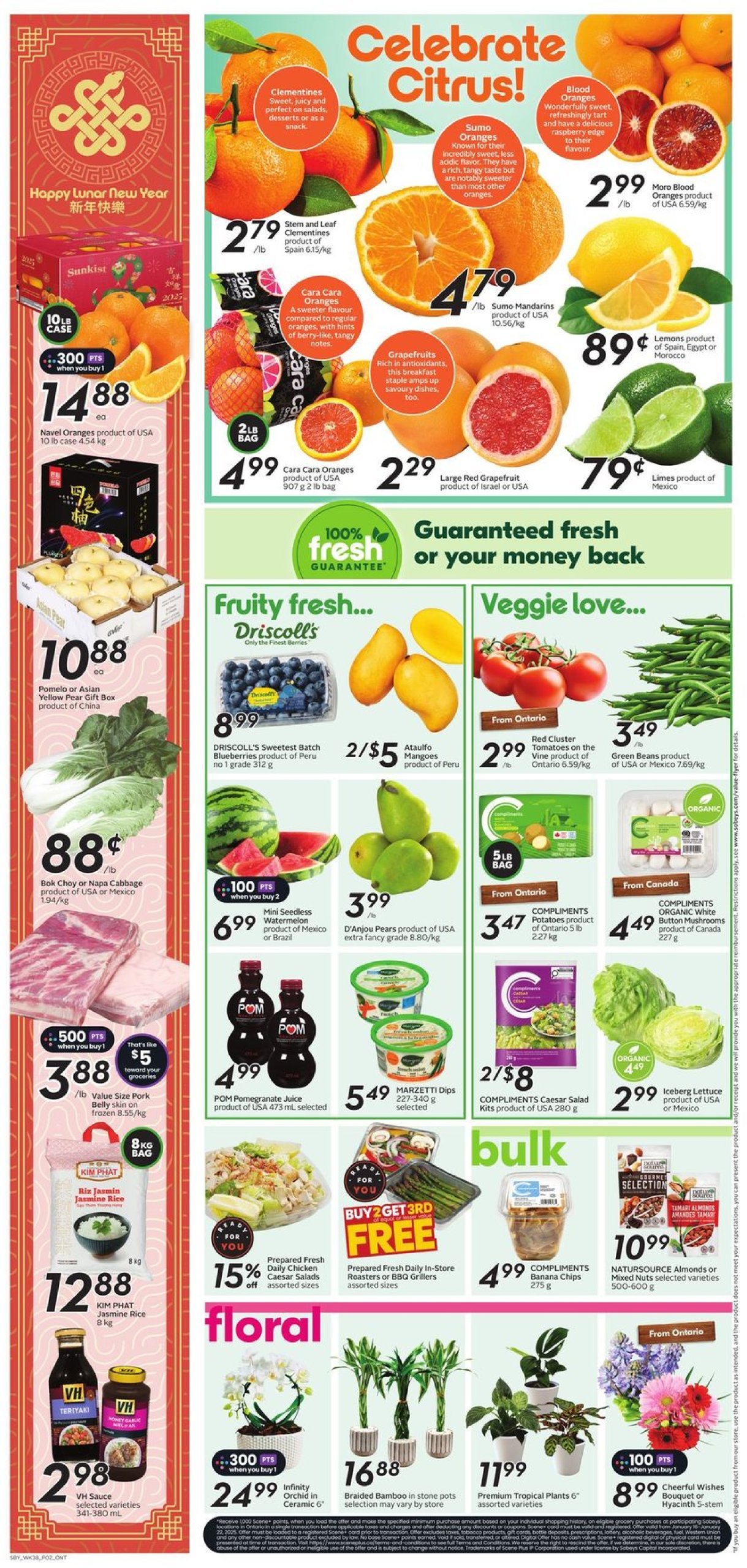 sobeys - Sobeys flyer valid from 01-16 - 01-22 - page: 5