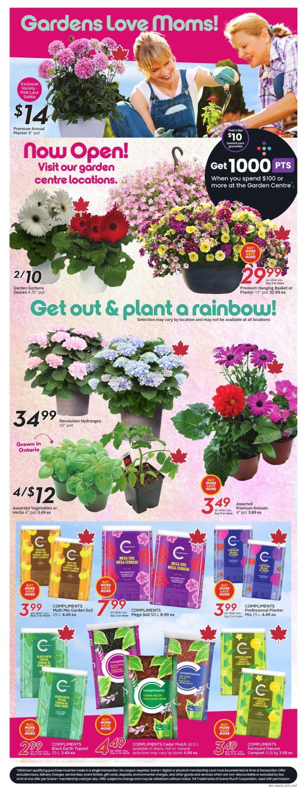 sobeys - Sobeys flyer valid from 05-08 - 05-14 - page: 10