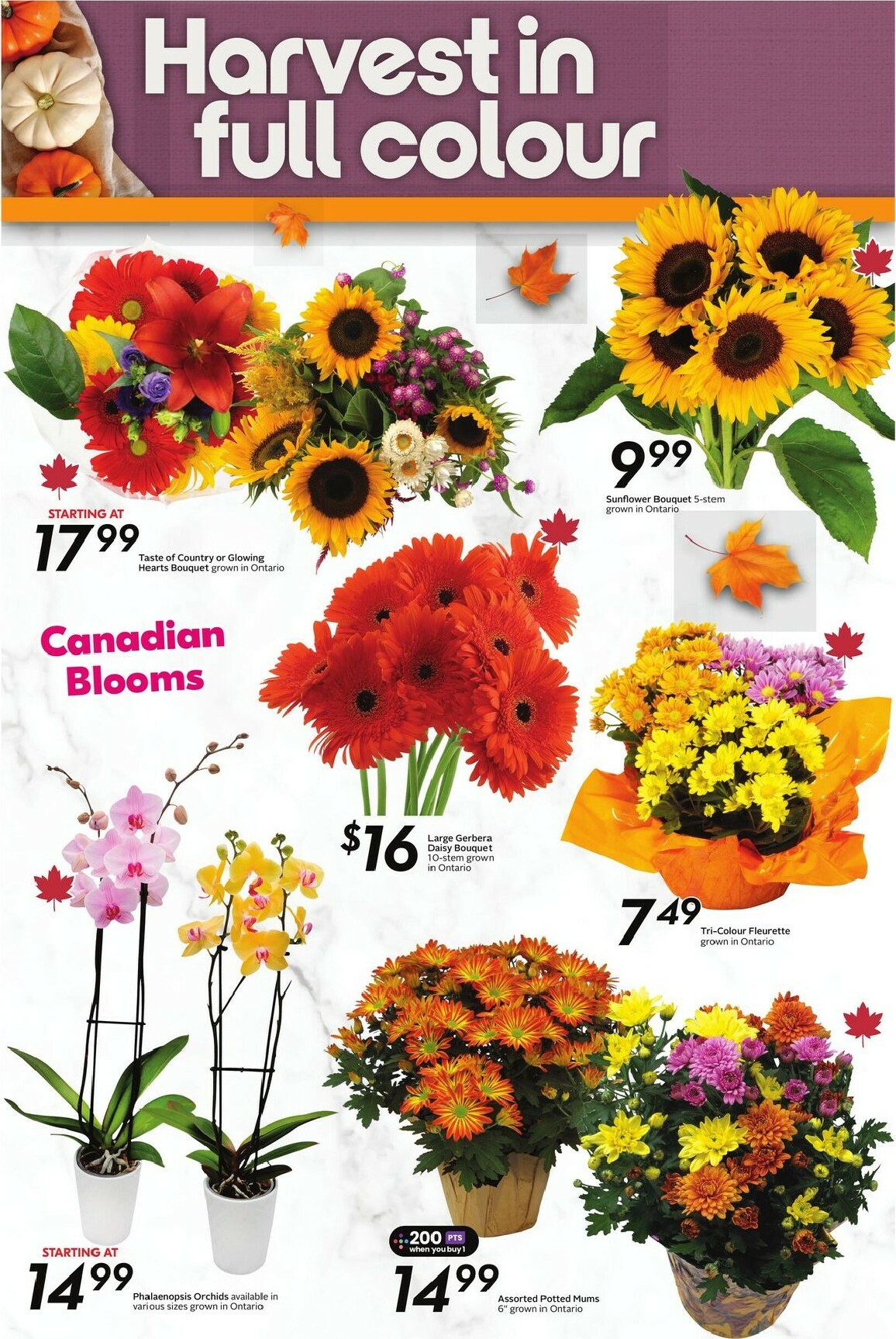 sobeys - Sobeys flyer valid from 10-02 - 10-08 - page: 22