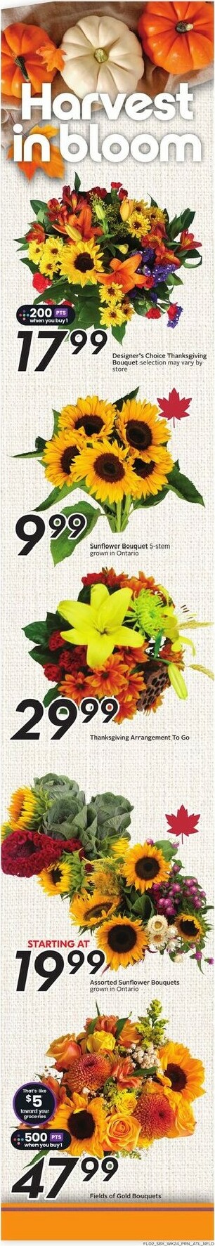 sobeys - Sobeys flyer valid from 10-09 - 10-15 - page: 3