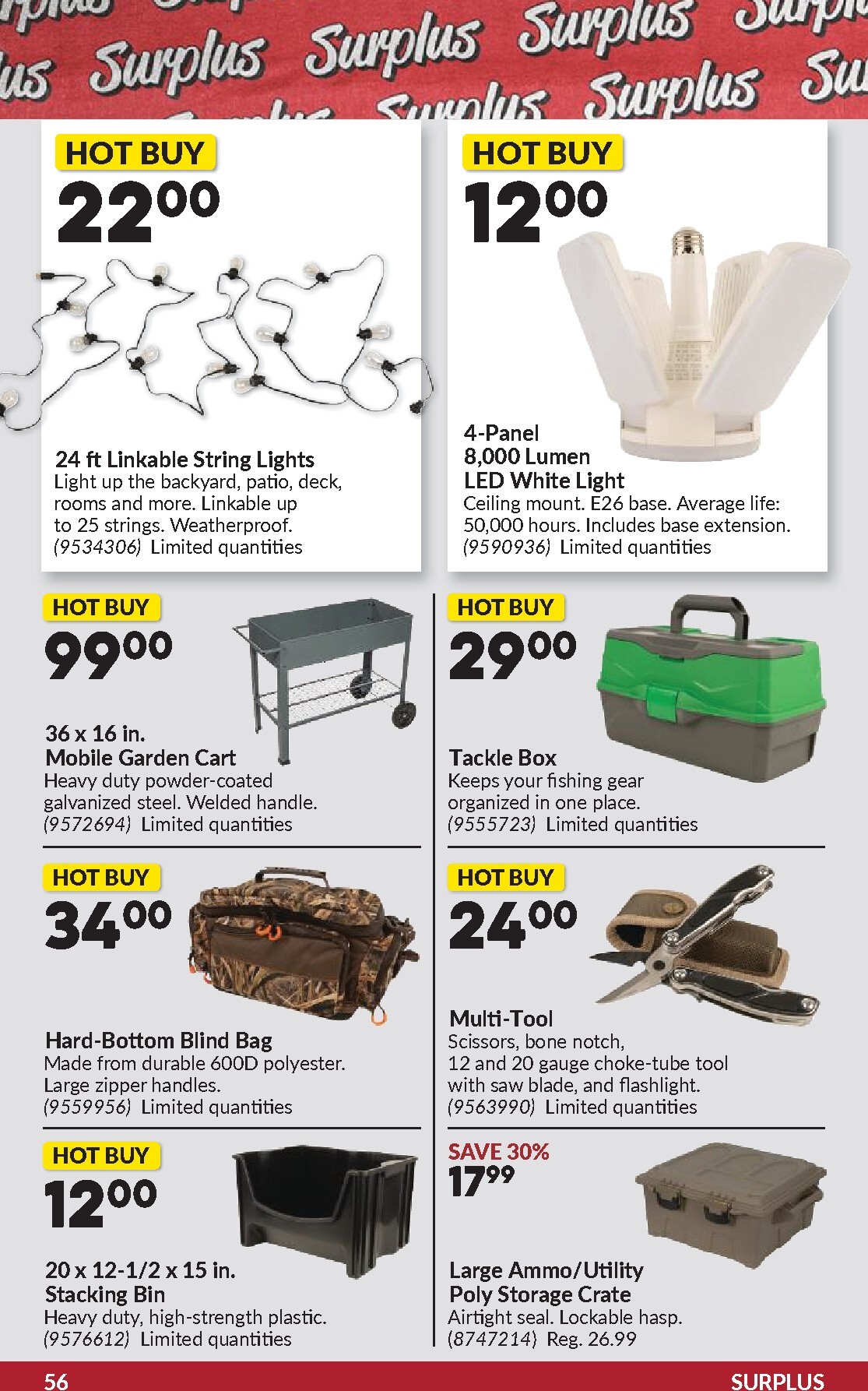 princess-auto - New Princess Auto Flyer for This Week – 2026-06-02 to 2026-06-14 - page: 57