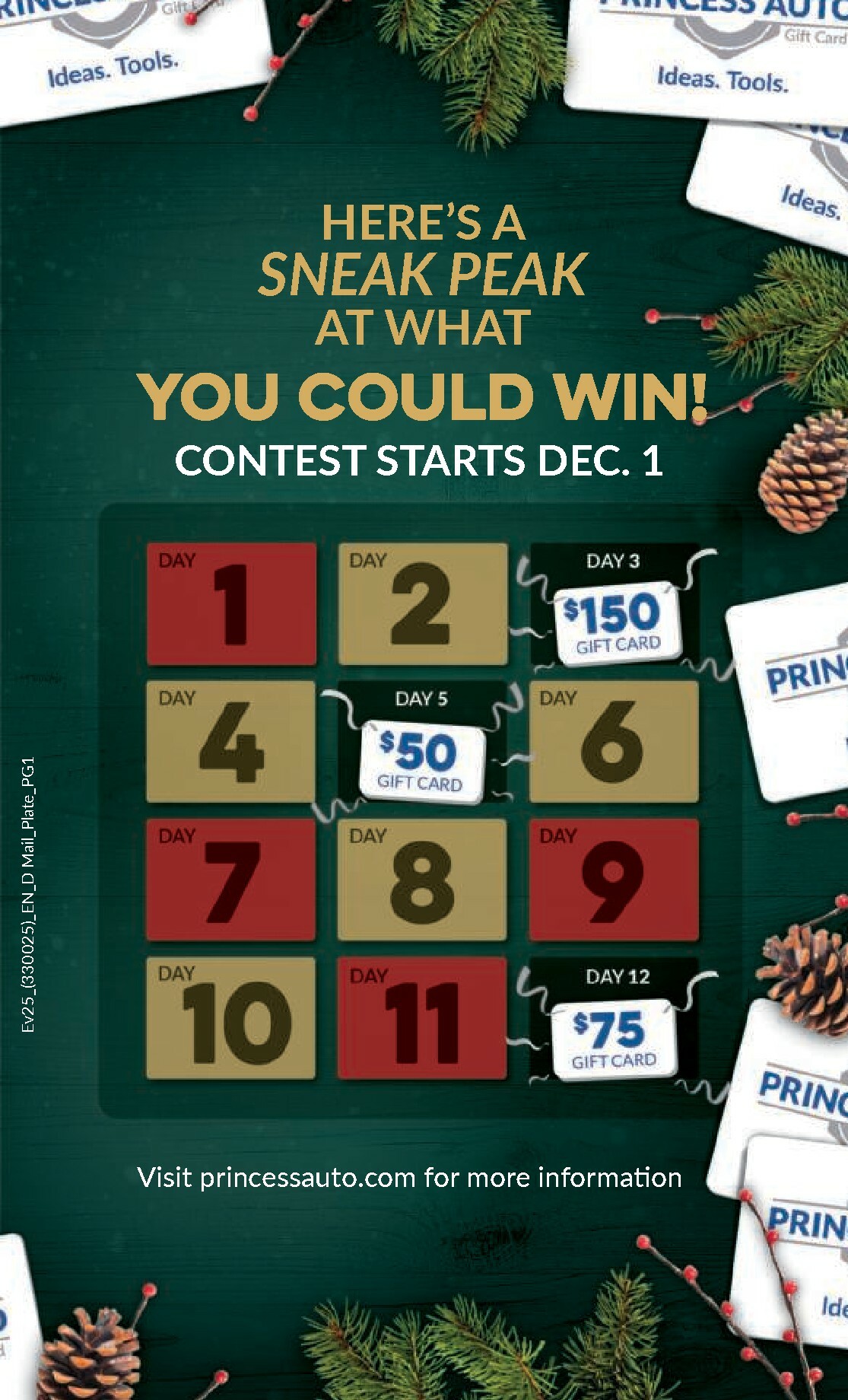 princess-auto - Princess Auto Flyer Valid From 12-02 to 12-14 - page: 4