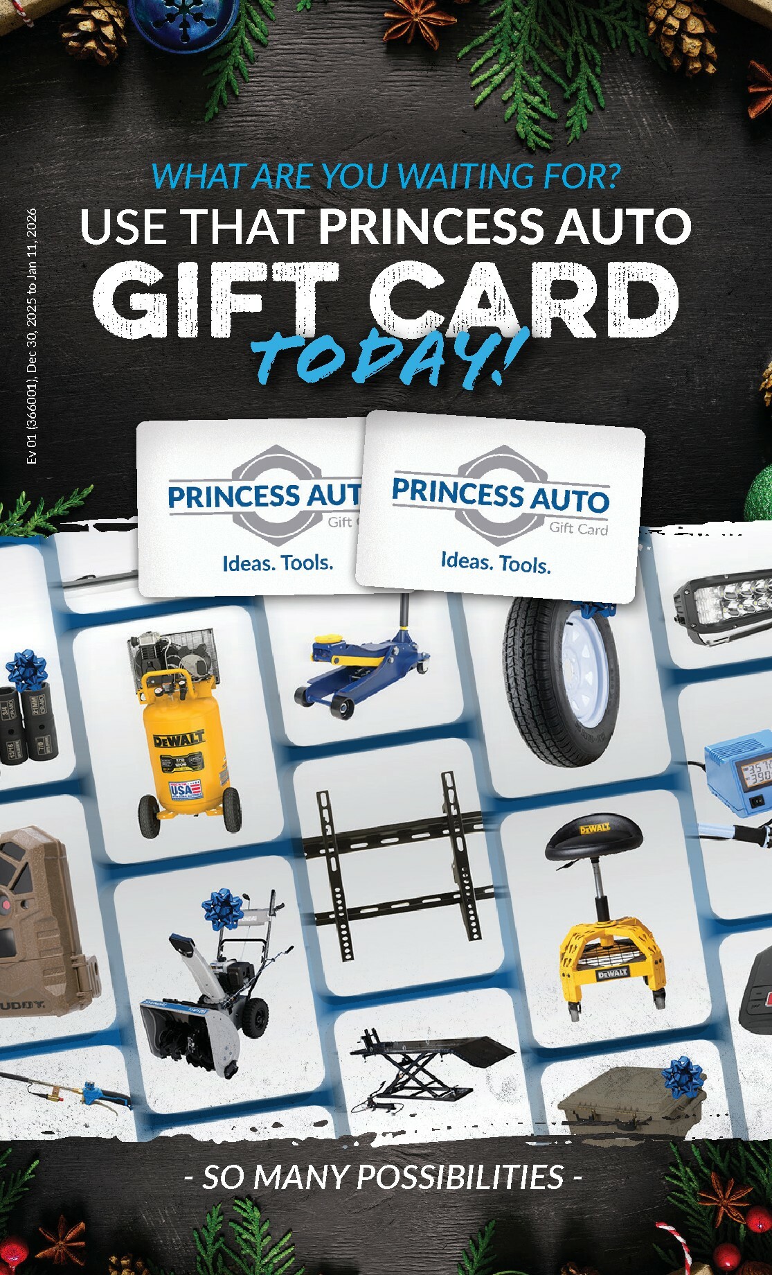 princess-auto - Princess Auto Flyer Valid From 12-30 to 01-11 - page: 10