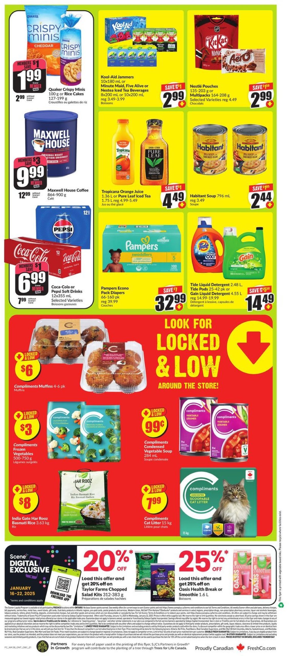 freshco - Freshco flyer valid from 01-16 - 01-22 - page: 2