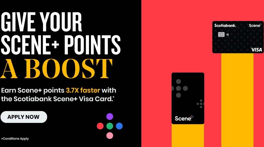 freshco - New Freshco Flyer for This Week – 2026-04-30 to 2026-05-06 - page: 11