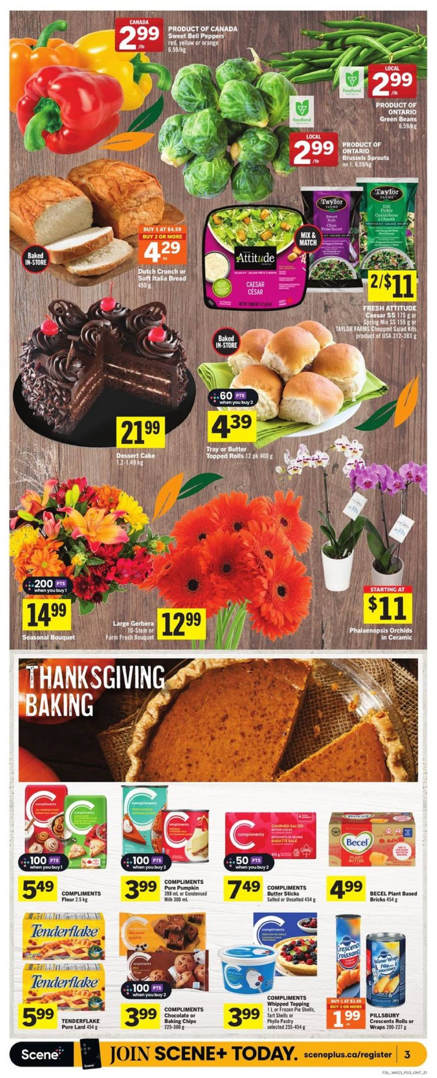 foodland - Latest Foodland flyer valid from 03.10. - 09.10. - page: 4