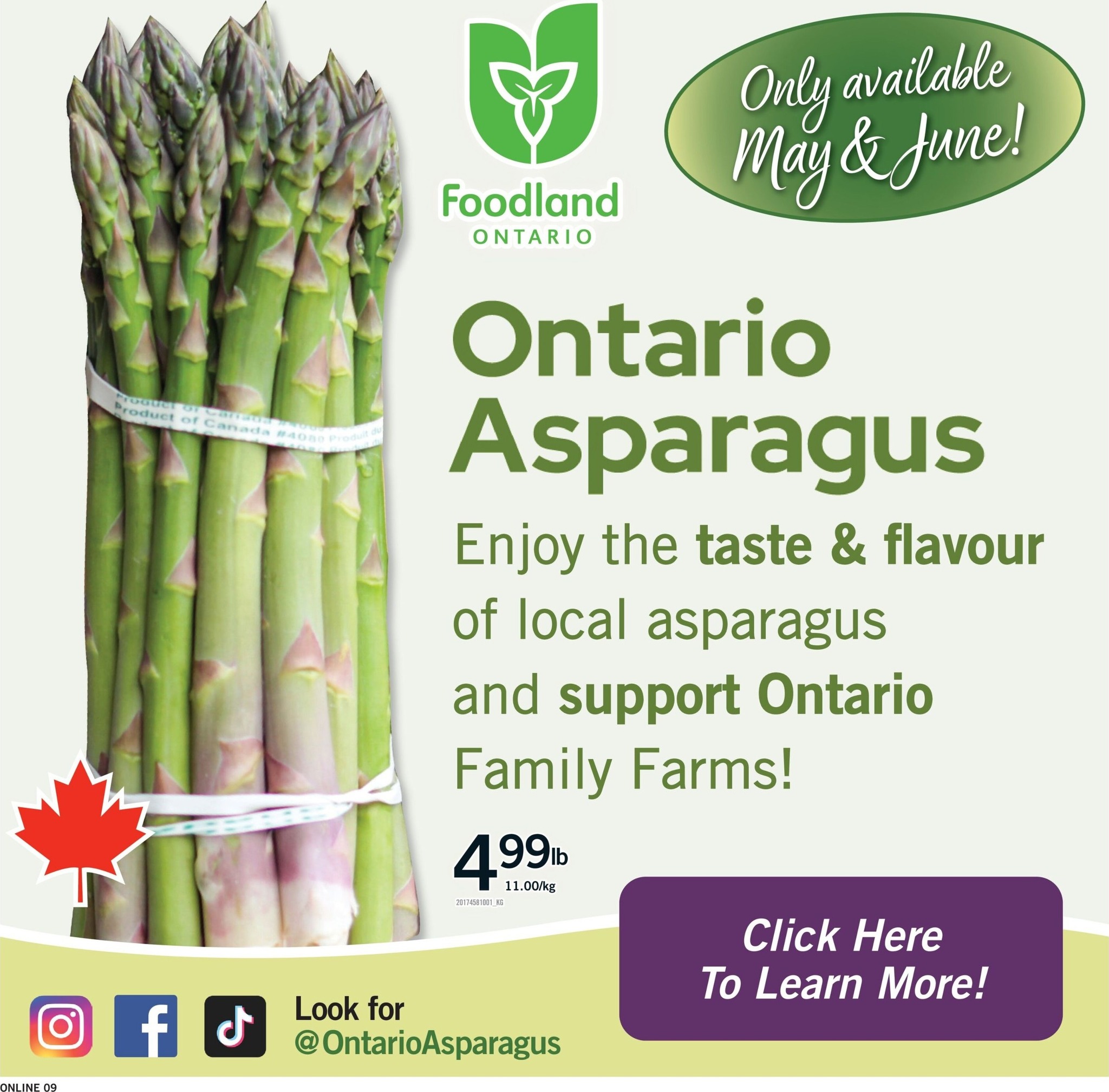 fortinos - New Fortinos Flyer for This Week – 2026-05-21 to 2026-05-27 - page: 9