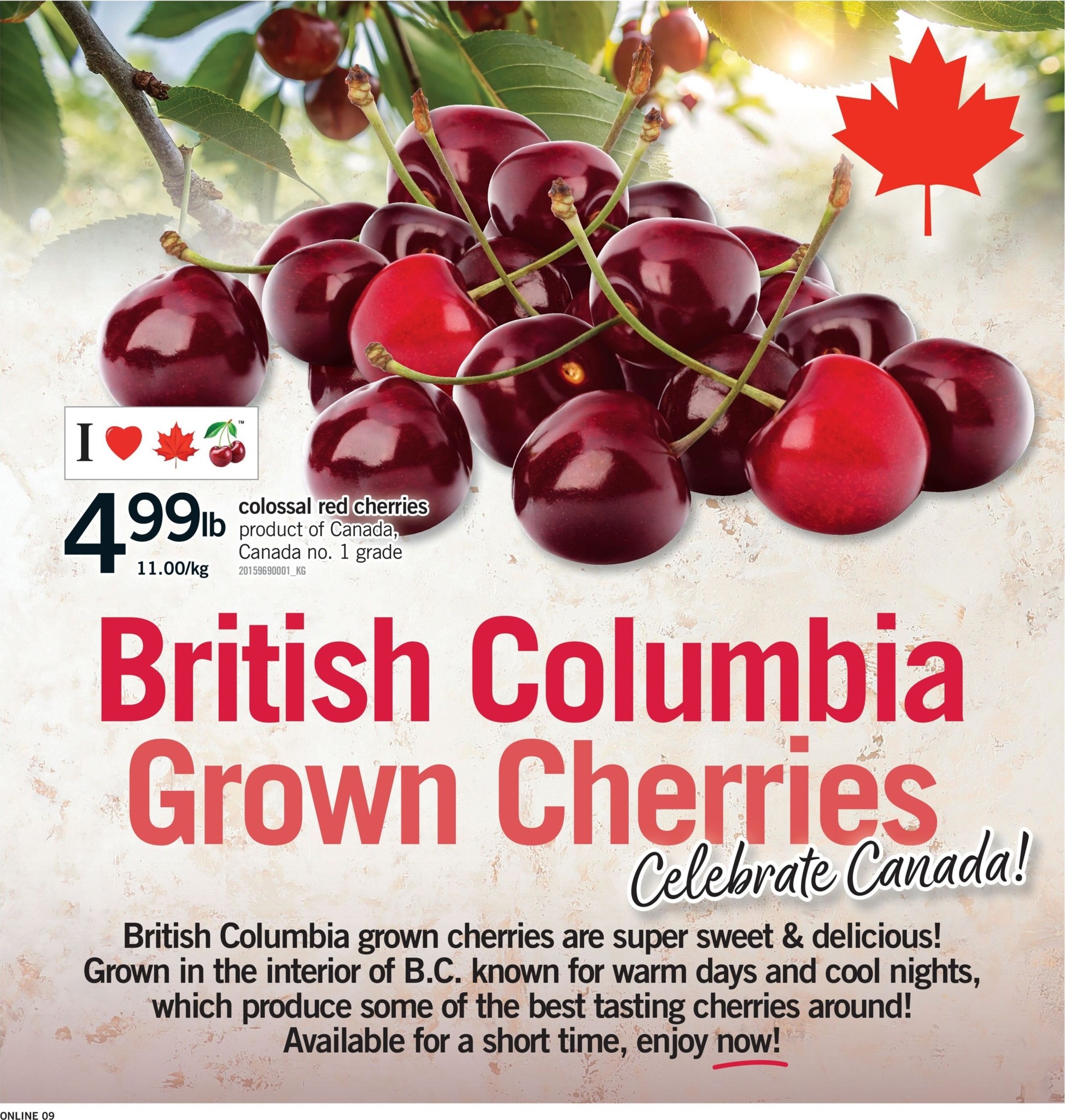 fortinos - New Fortinos Flyer for This Week – 2026-07-30 to 2026-08-05 - page: 10