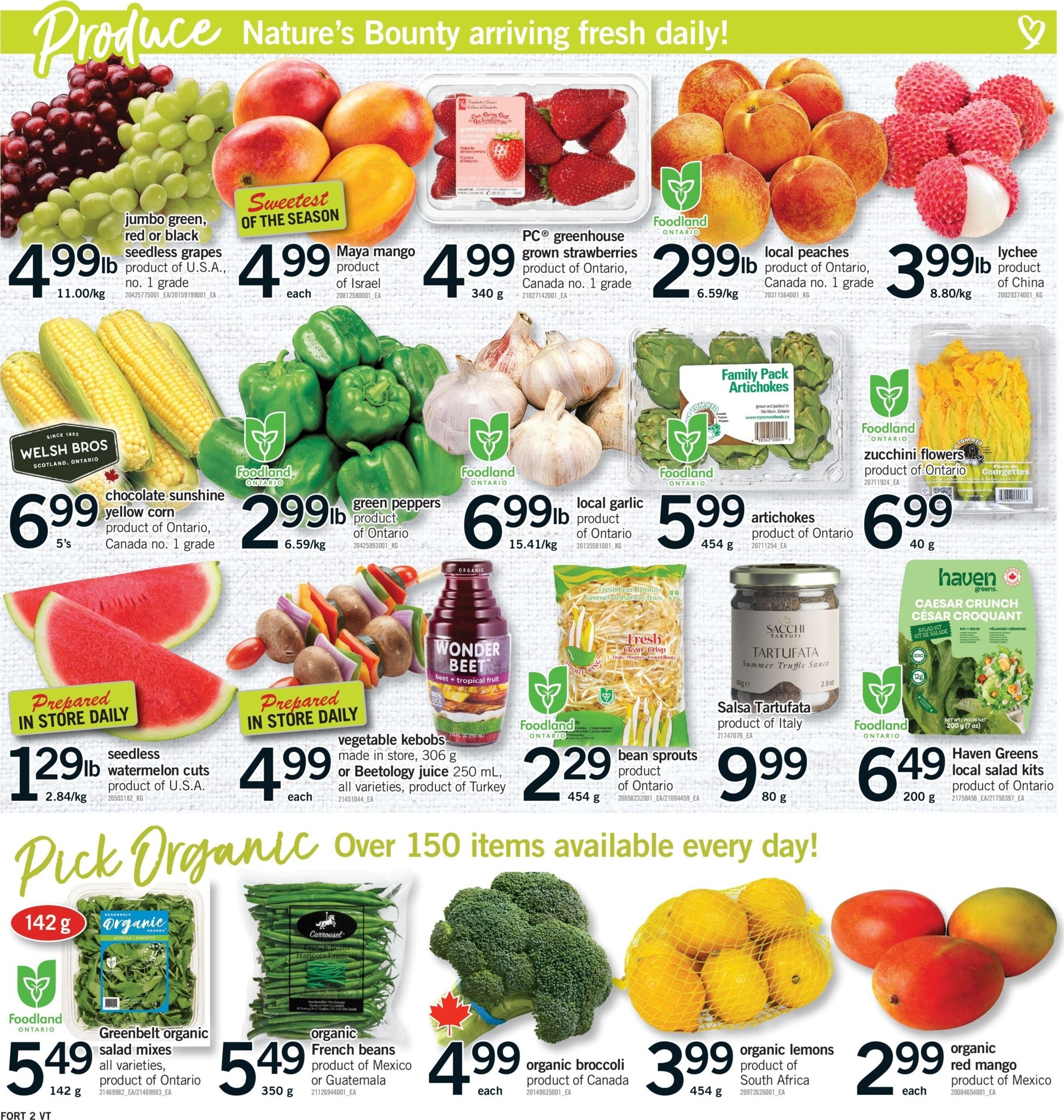 fortinos - New Fortinos Flyer for This Week – 2026-08-06 to 2026-08-12 - page: 3