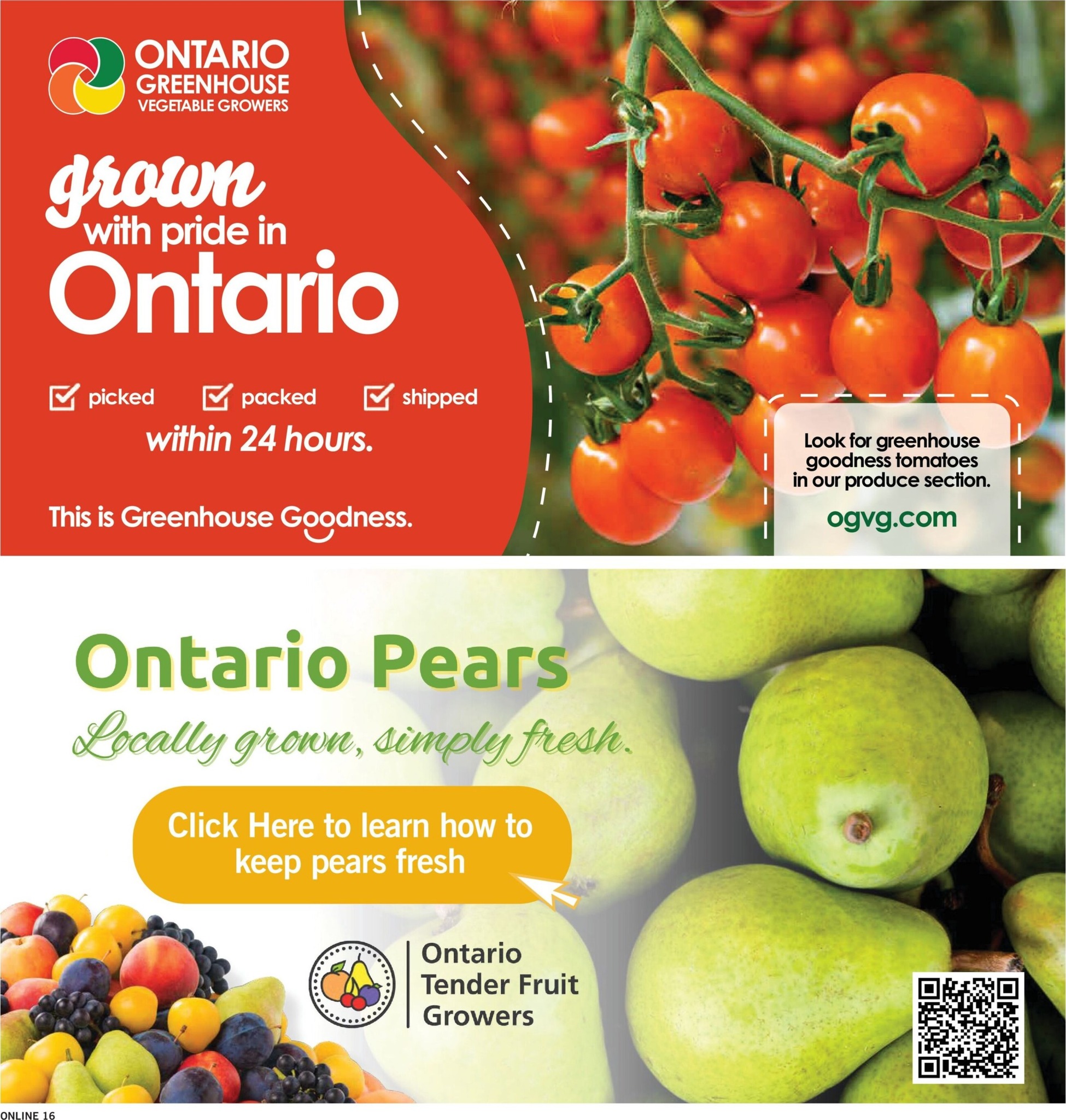 fortinos - New Fortinos Flyer for This Week – 2026-08-06 to 2026-08-12 - page: 16