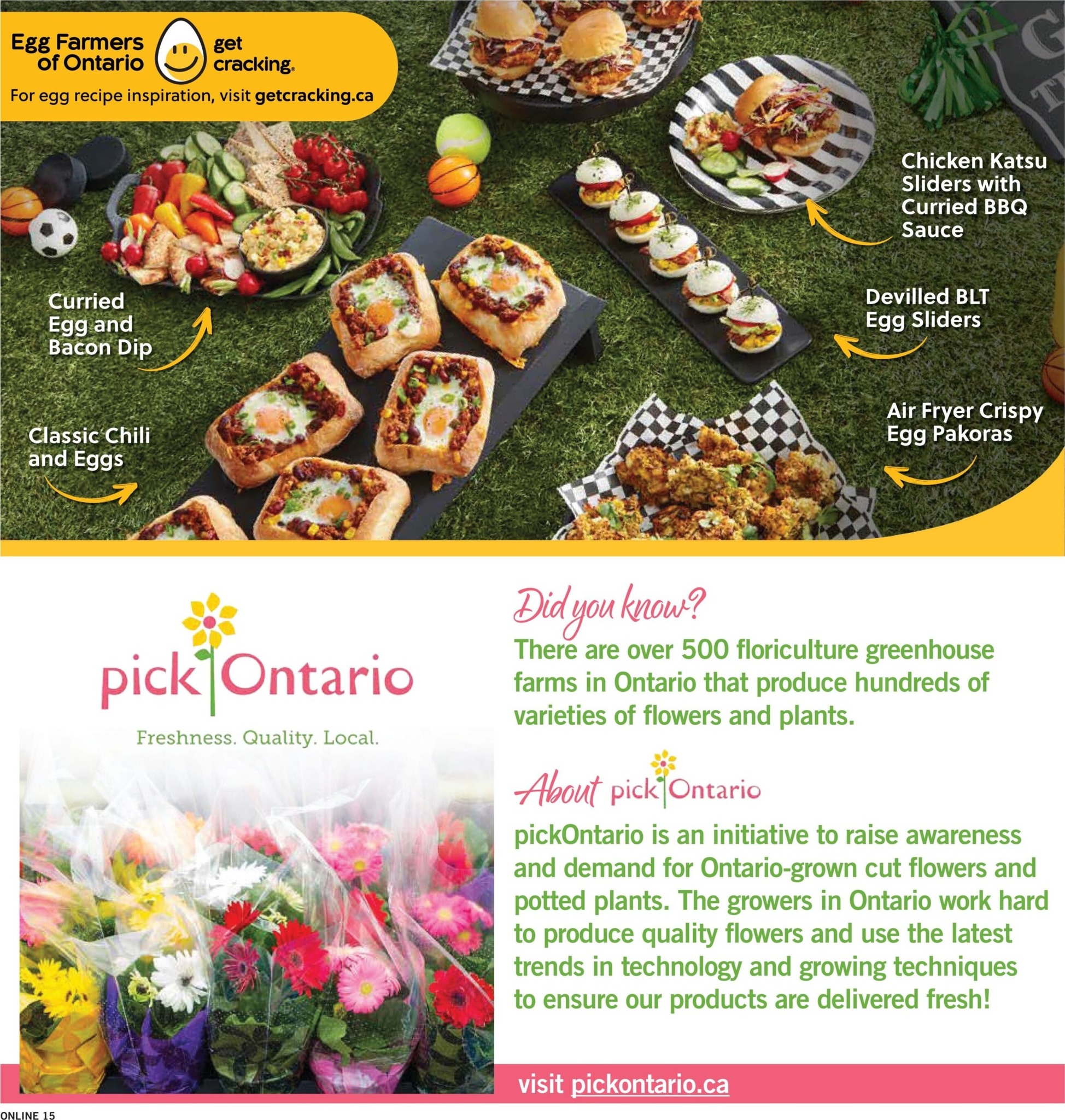 fortinos - New Fortinos Flyer for This Week – 2026-08-06 to 2026-08-12 - page: 15
