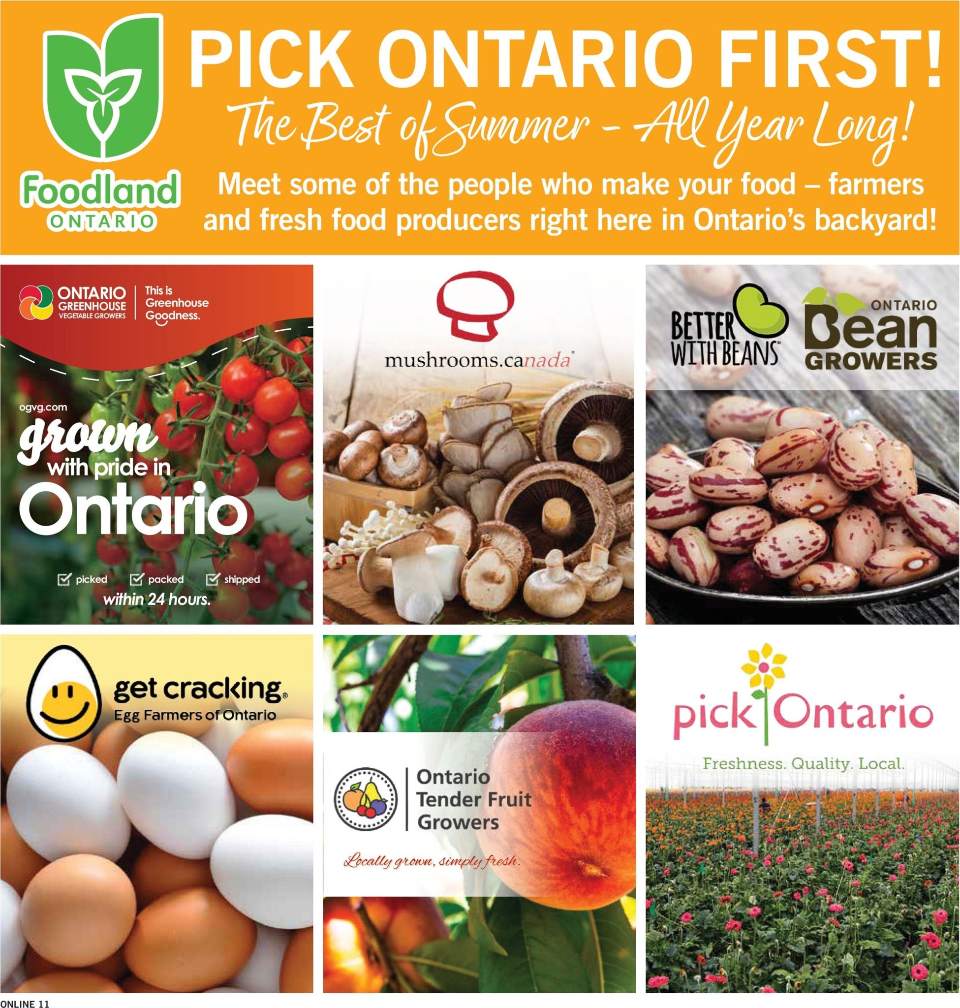 fortinos - New Fortinos Flyer for This Week – 2026-08-06 to 2026-08-12 - page: 11