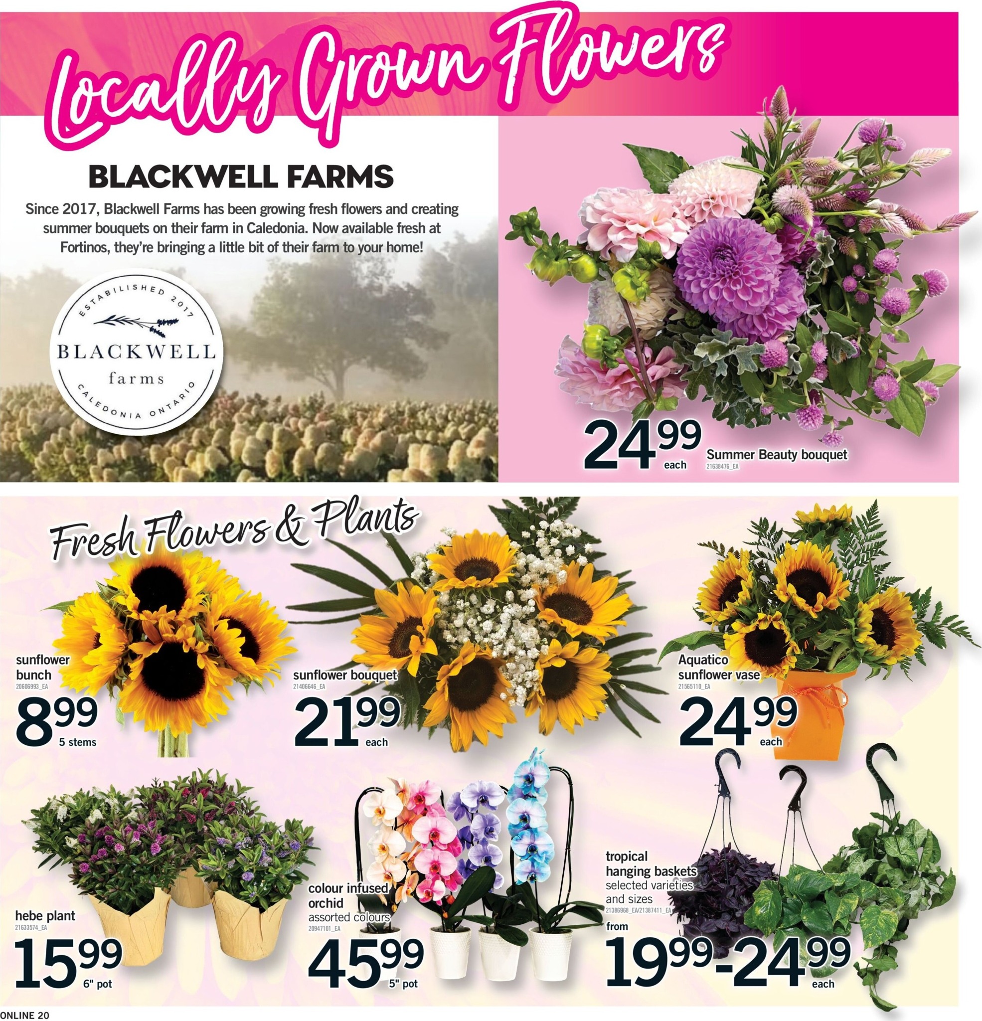 fortinos - New Fortinos Flyer for This Week – 2026-08-13 to 2026-08-19 - page: 19