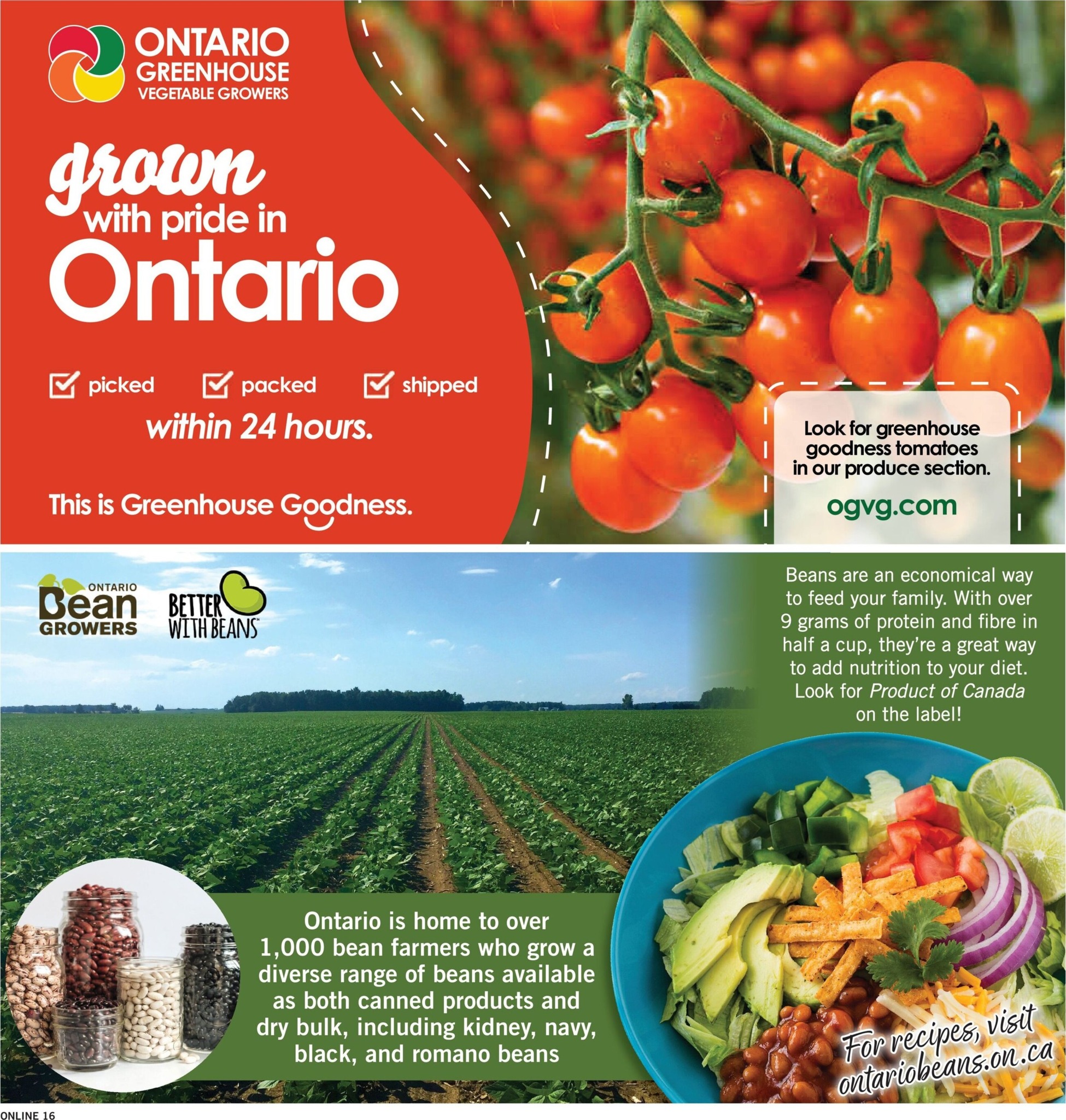 fortinos - New Fortinos Flyer for This Week – 2026-08-13 to 2026-08-19 - page: 15