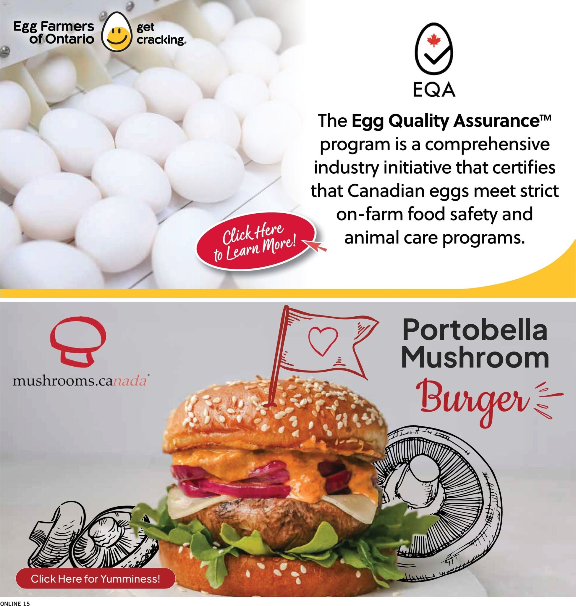 fortinos - New Fortinos Flyer for This Week – 2026-08-13 to 2026-08-19 - page: 14