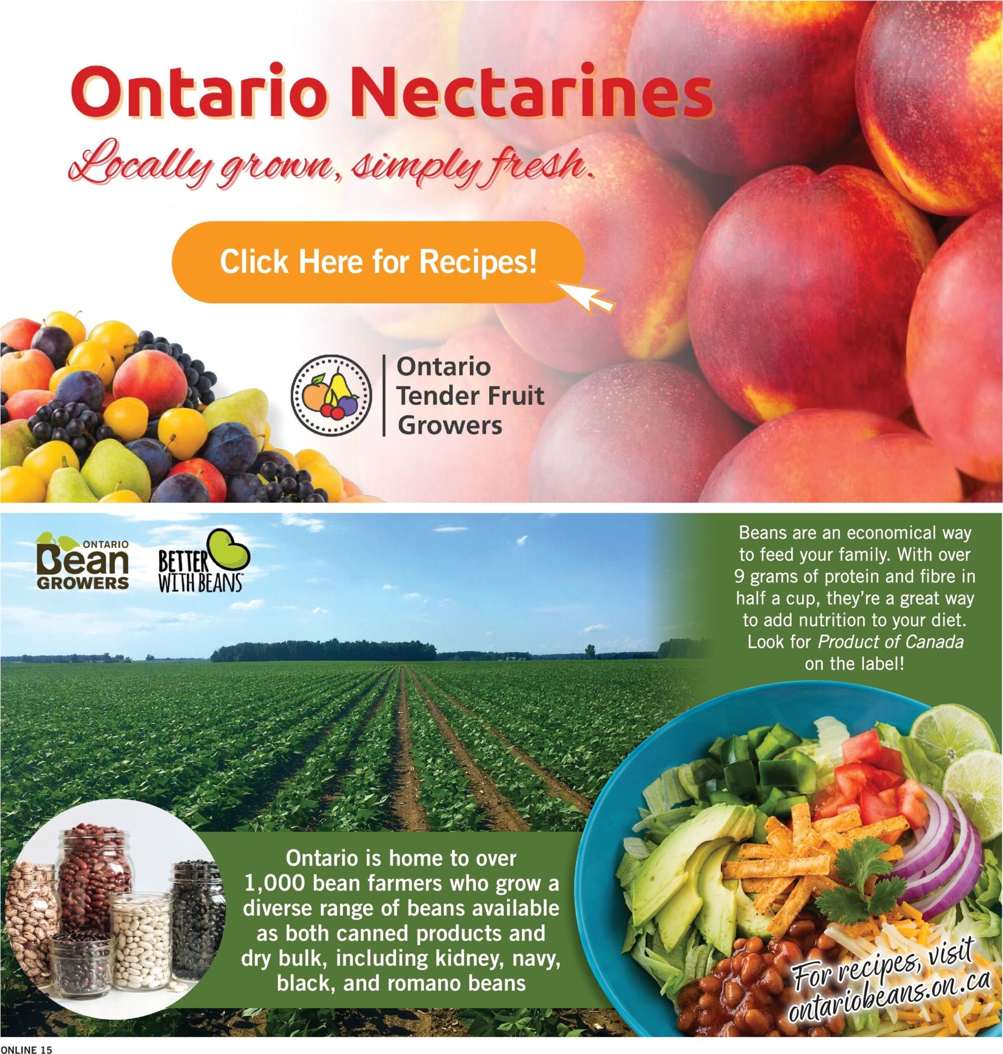 fortinos - New Fortinos Flyer for This Week – 2026-08-20 to 2026-08-26 - page: 15