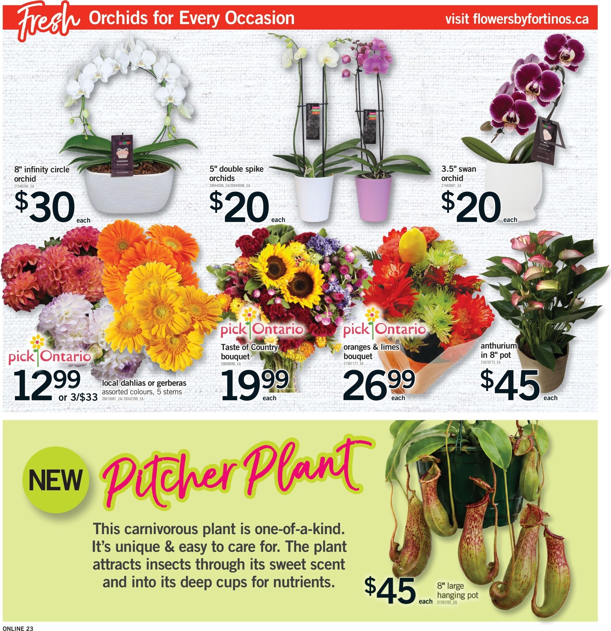 fortinos - New Fortinos Flyer for This Week – 2026-08-20 to 2026-08-26 - page: 22