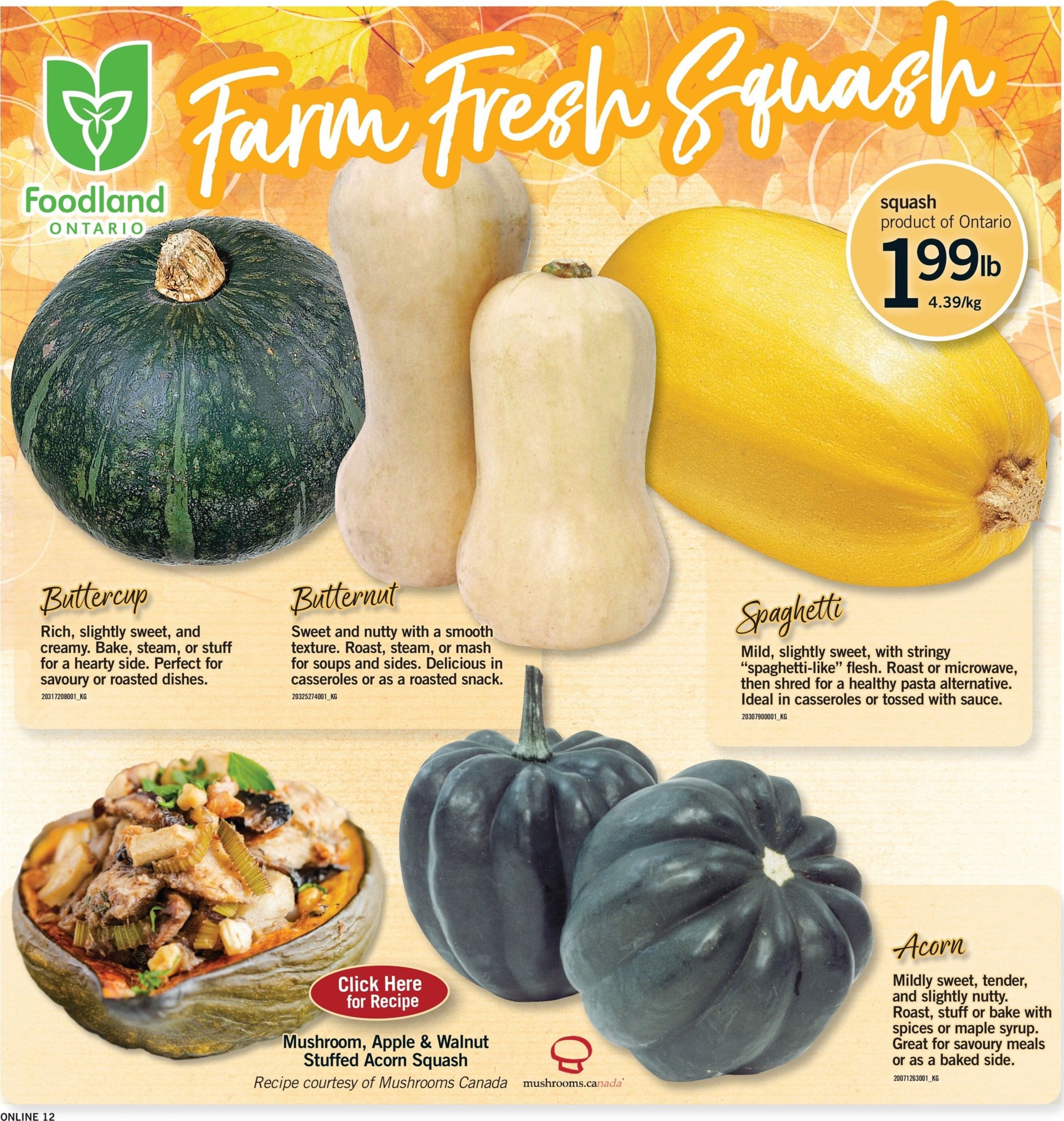 fortinos - New Fortinos Flyer for This Week – 2026-09-24 to 2026-09-30 - page: 12