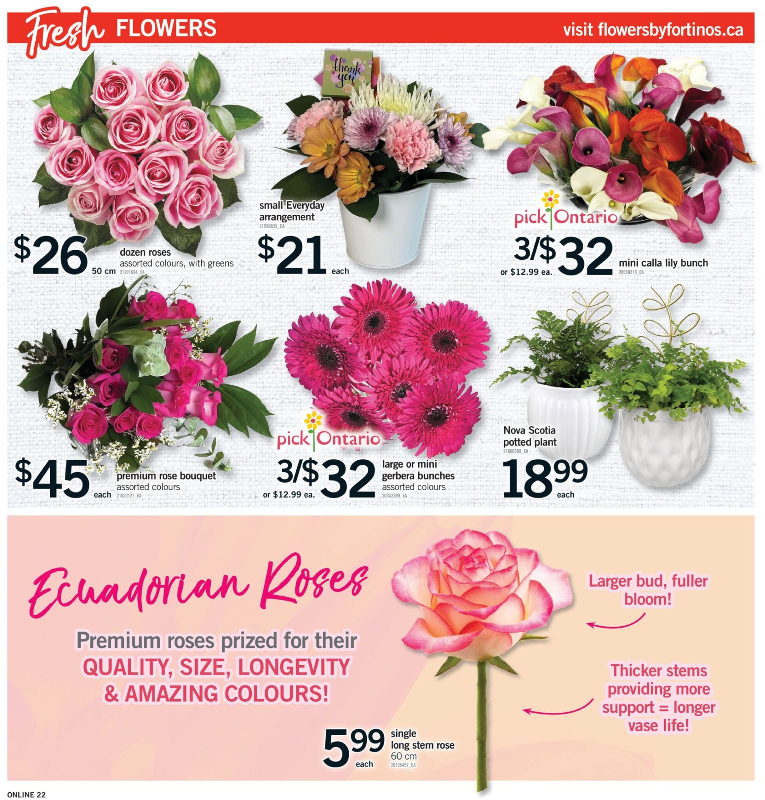 fortinos - Fortinos flyer valid from 06-19 - 06-25 - page: 21