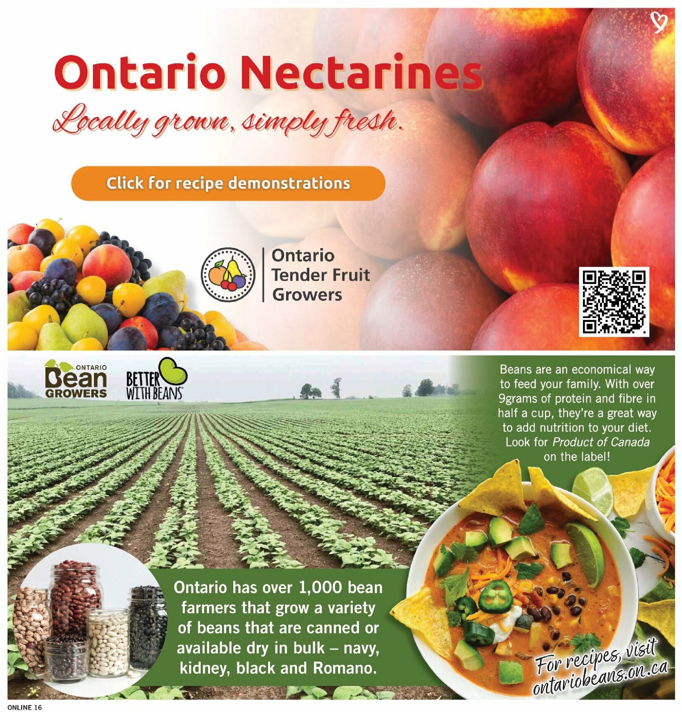 fortinos - Fortinos flyer valid from 07-31 - 08-06 - page: 16