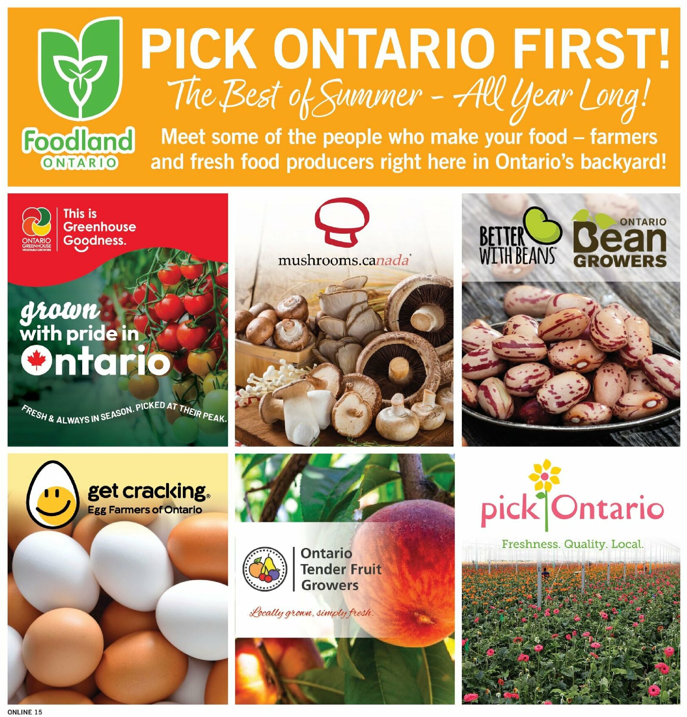 fortinos - Fortinos flyer valid from 08-07 - 08-13 - page: 15