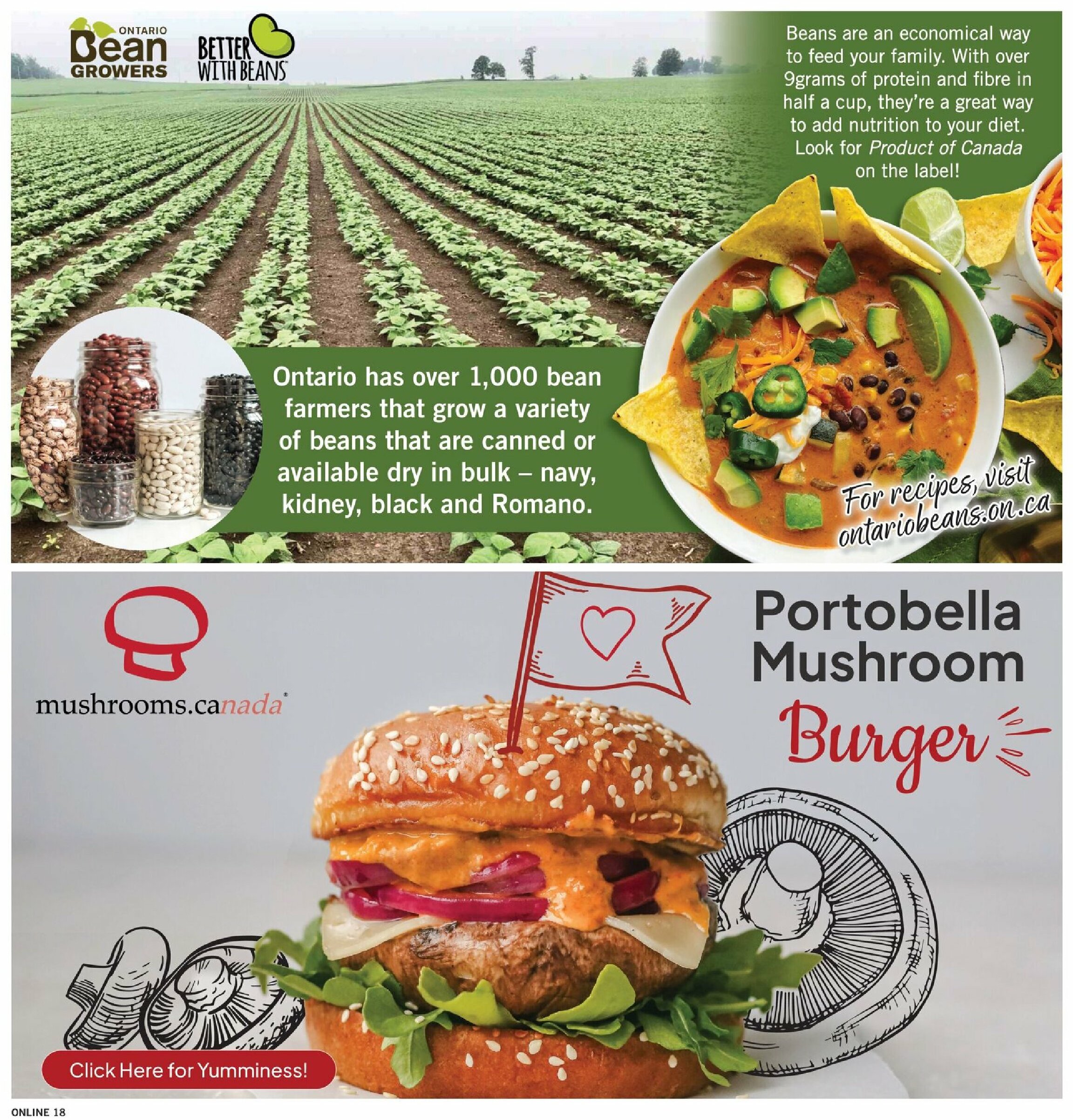 fortinos - Fortinos flyer valid from 08-07 - 08-13 - page: 18