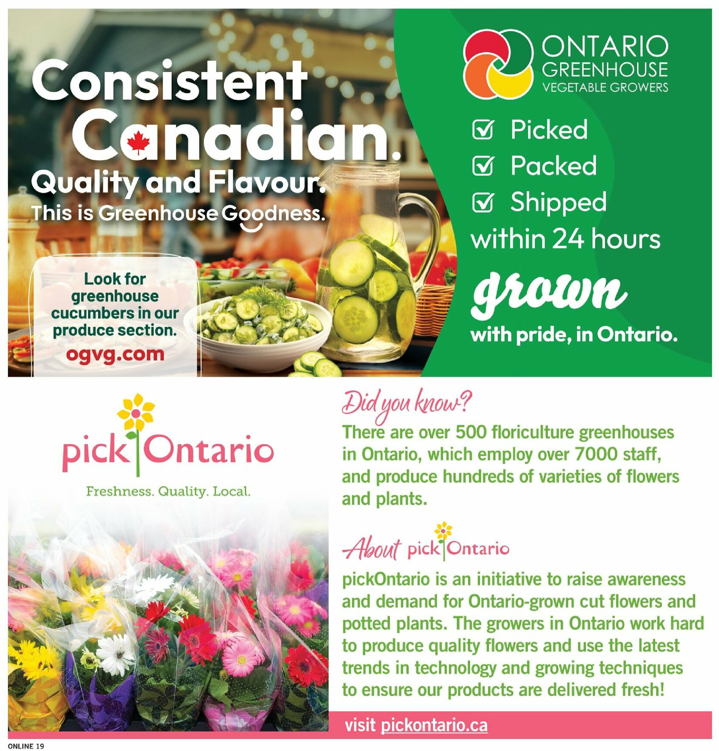 fortinos - Fortinos flyer valid from 08-07 - 08-13 - page: 19