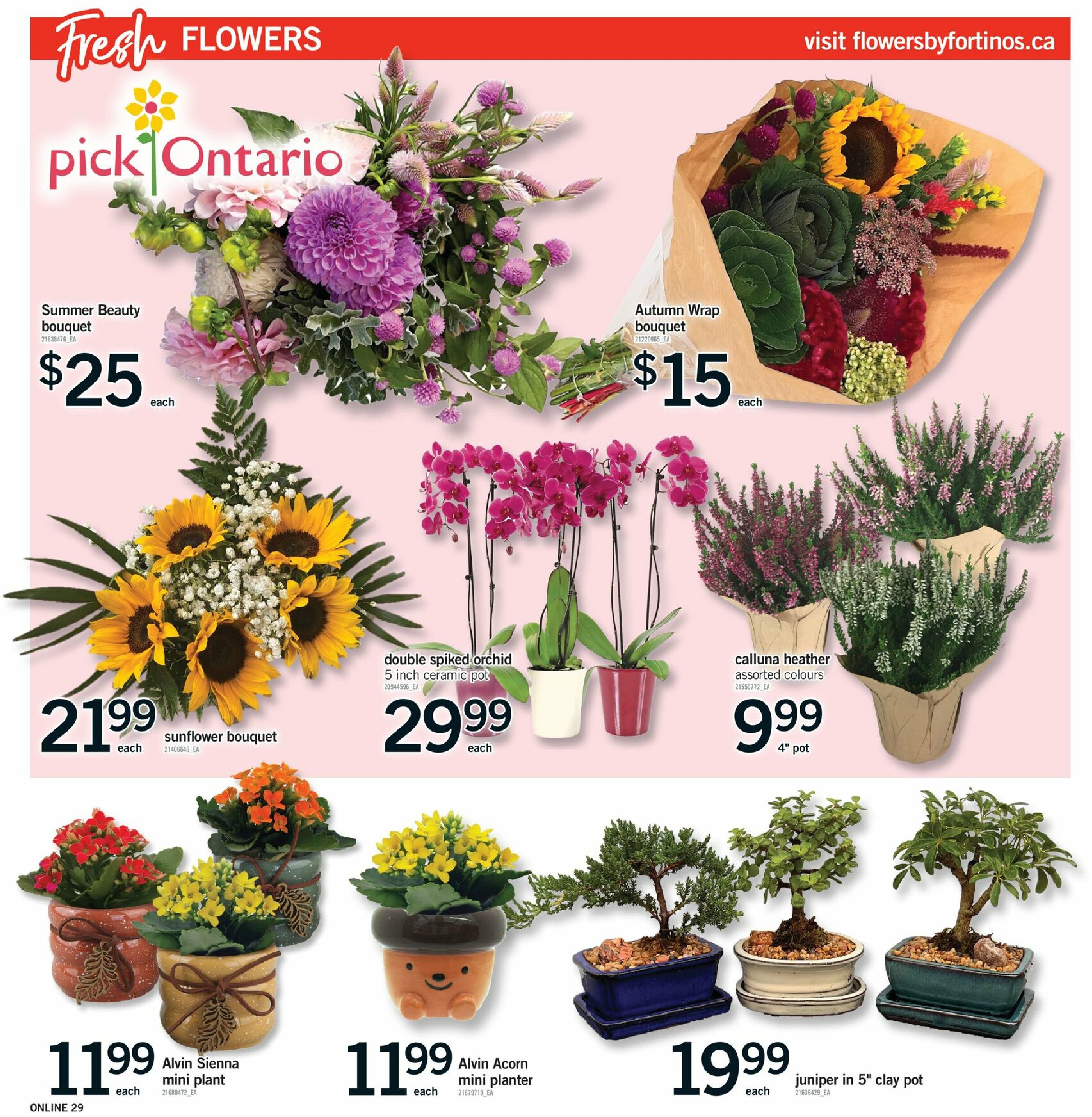 fortinos - Fortinos flyer valid from 08-28 - 09-03 - page: 28