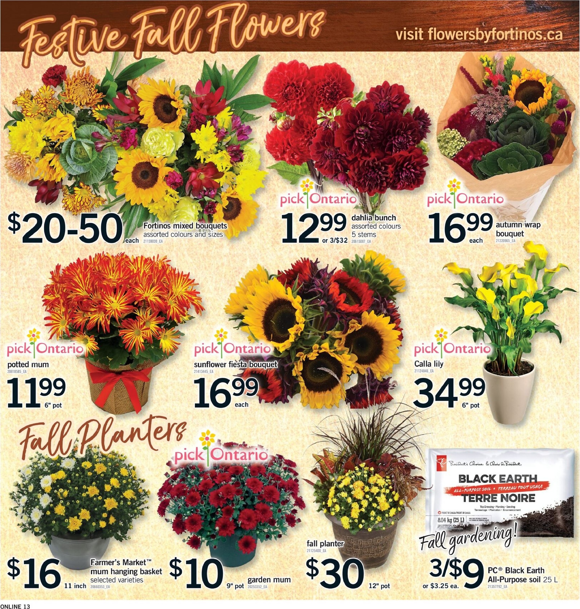 fortinos - Fortinos flyer valid from 09-18 - 09-24 - page: 13