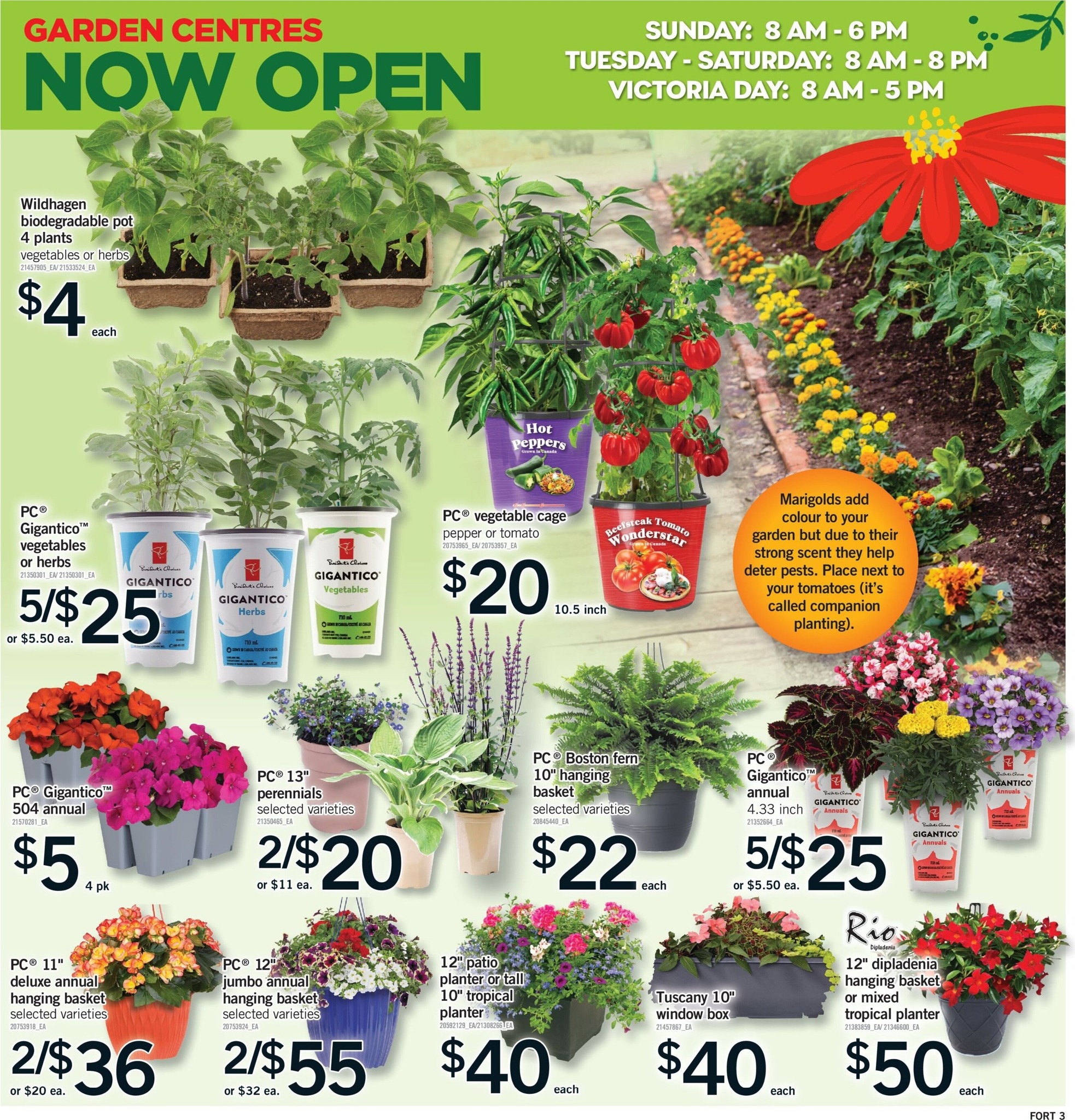 fortinos - New Fortinos Flyer for This Week – 2026-05-14 to 2026-05-20 - page: 4