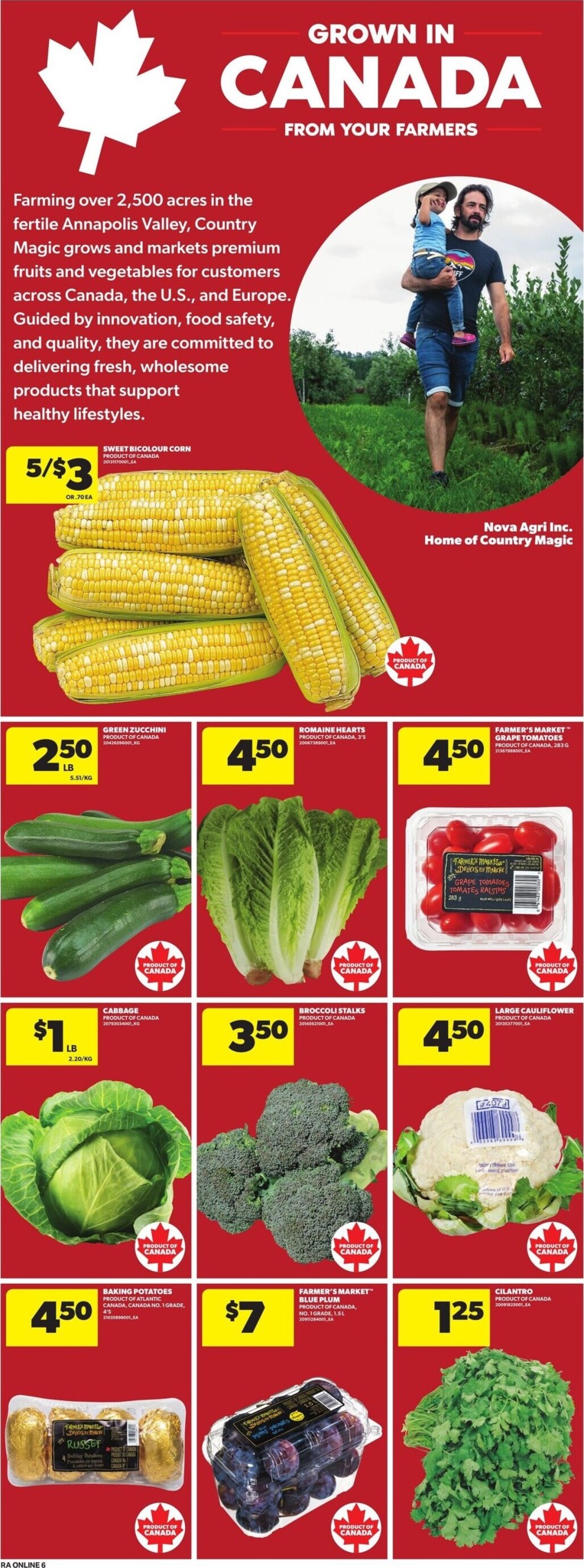 atlantic-superstore - New Atlantic Superstore Flyer for This Week – 2026-08-27 to 2026-09-02 - page: 13