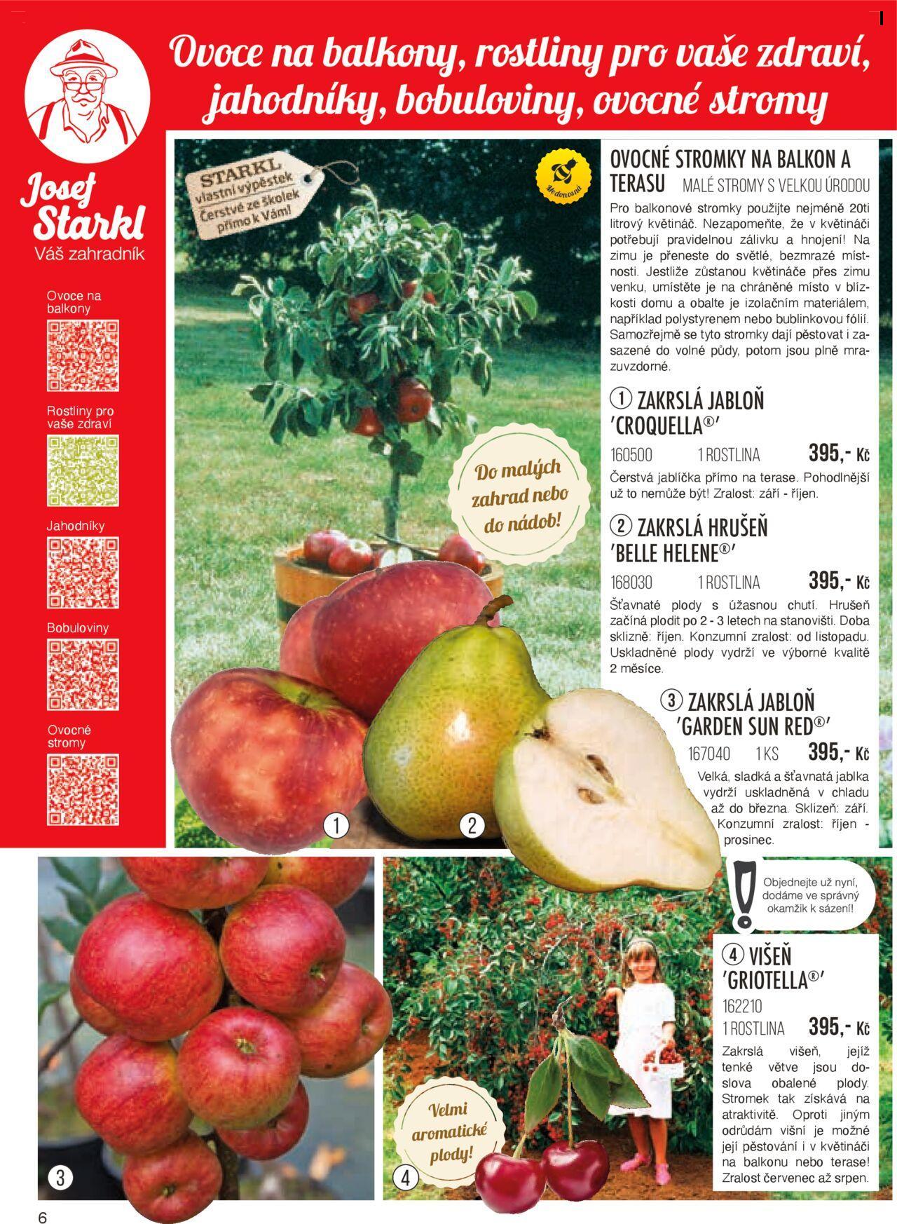 starkl - Starkl katalog podzim 2024 od čtvrtka 01.08.2024 - page: 6