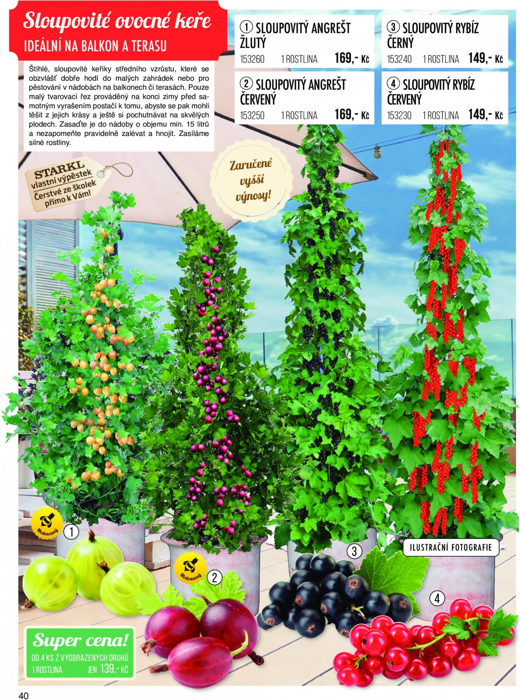 starkl - Starkl platný od 21.12.2023 - page: 40