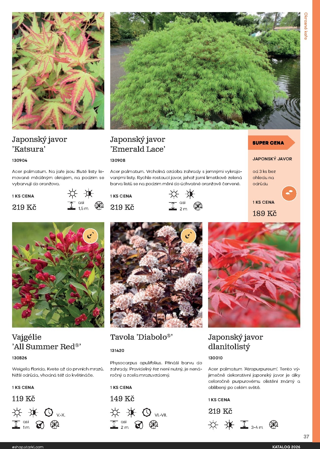 starkl - Starkl leták platný od neděle 01.03.2026 do čtvrtka 31.12.2026 - page: 37