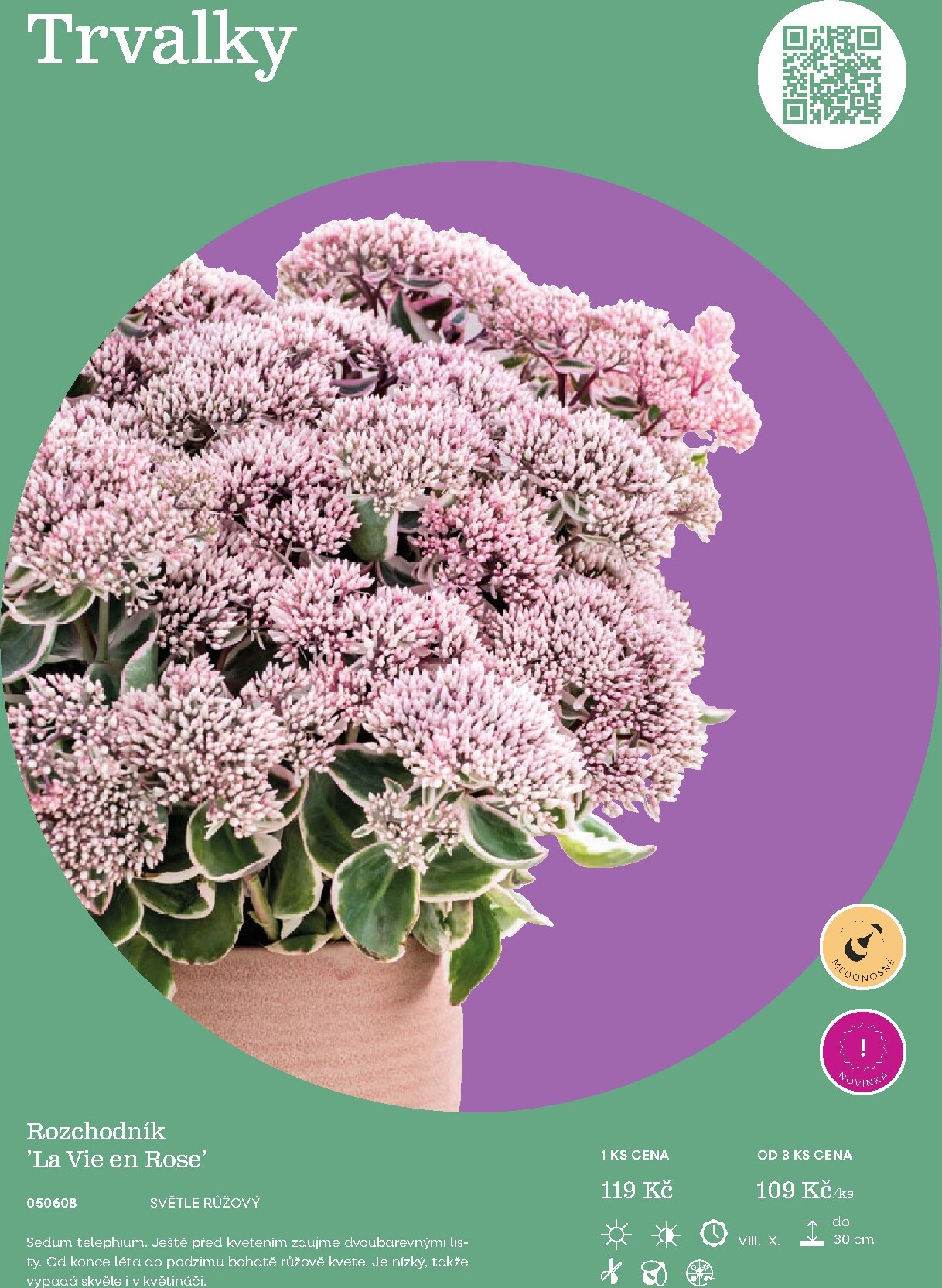 starkl - Starkl leták platný od neděle 01.03.2026 do čtvrtka 31.12.2026 - page: 55